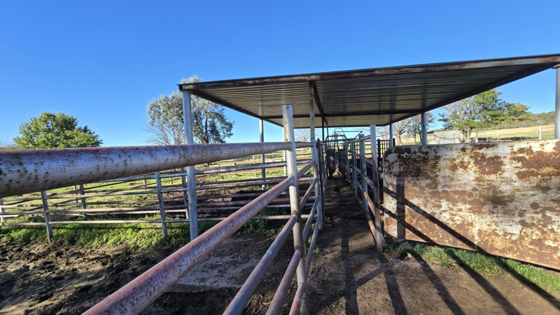 765519_442ha_Cattle_and_Irrigation_Farm_FOR_SALE_Modimolle_(54).jpeg