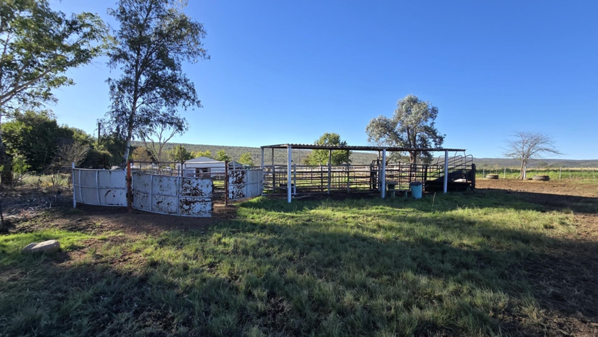 765519_442ha_Cattle_and_Irrigation_Farm_FOR_SALE_Modimolle_(56).jpeg