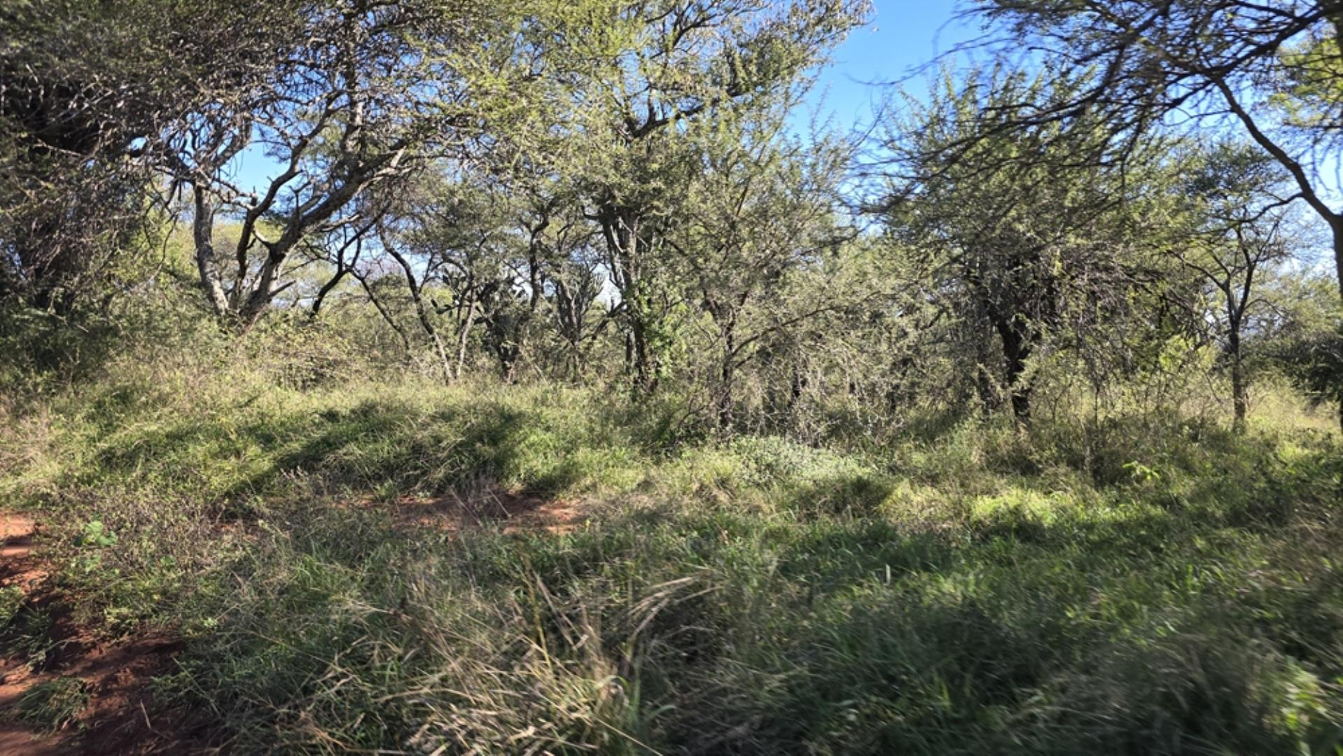 765544_1196ha_Game_and_Hunting_Farm_For_Sale_Groblersdal_(35).jpeg