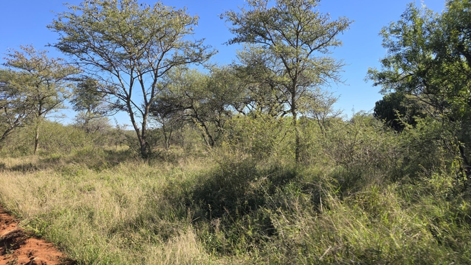765544_1196ha_Game_and_Hunting_Farm_For_Sale_Groblersdal_(37).jpeg