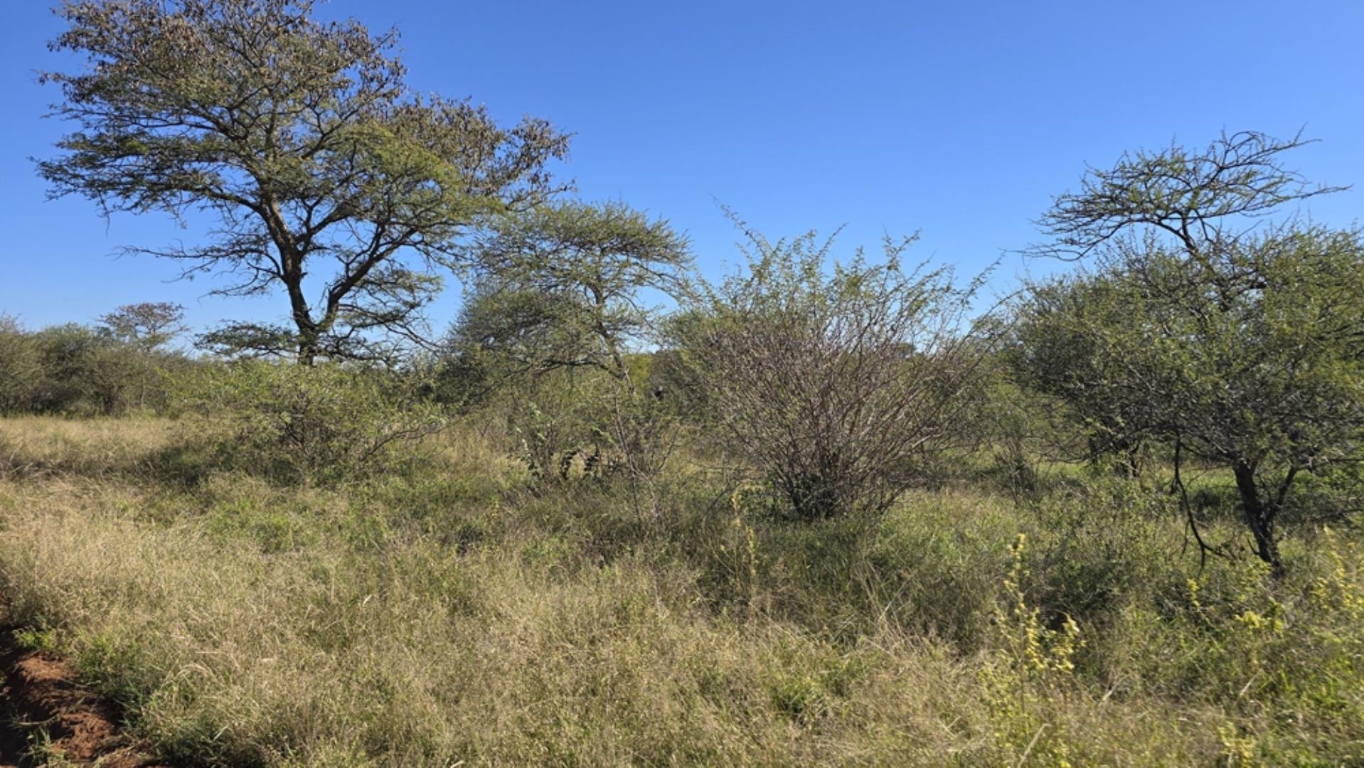 765544_1196ha_Game_and_Hunting_Farm_For_Sale_Groblersdal_(39).jpeg