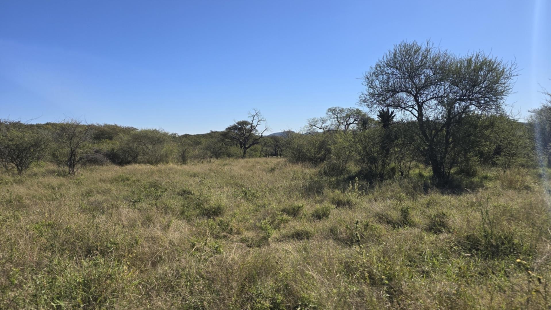 765544_1196ha_Game_and_Hunting_Farm_For_Sale_Groblersdal_(40).jpeg