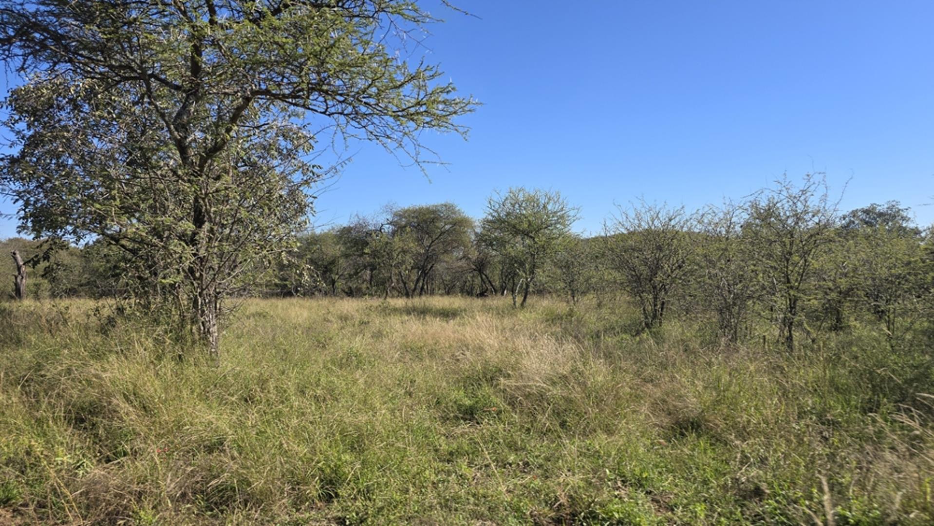 765544_1196ha_Game_and_Hunting_Farm_For_Sale_Groblersdal_(43).jpeg