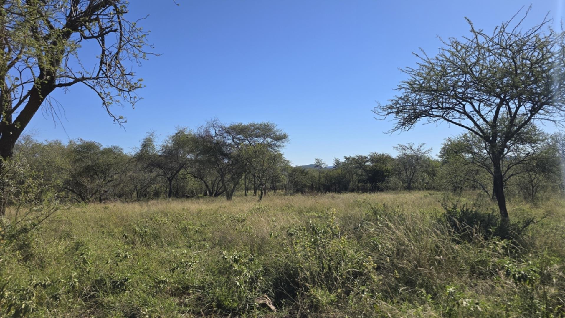 765544_1196ha_Game_and_Hunting_Farm_For_Sale_Groblersdal_(44).jpeg