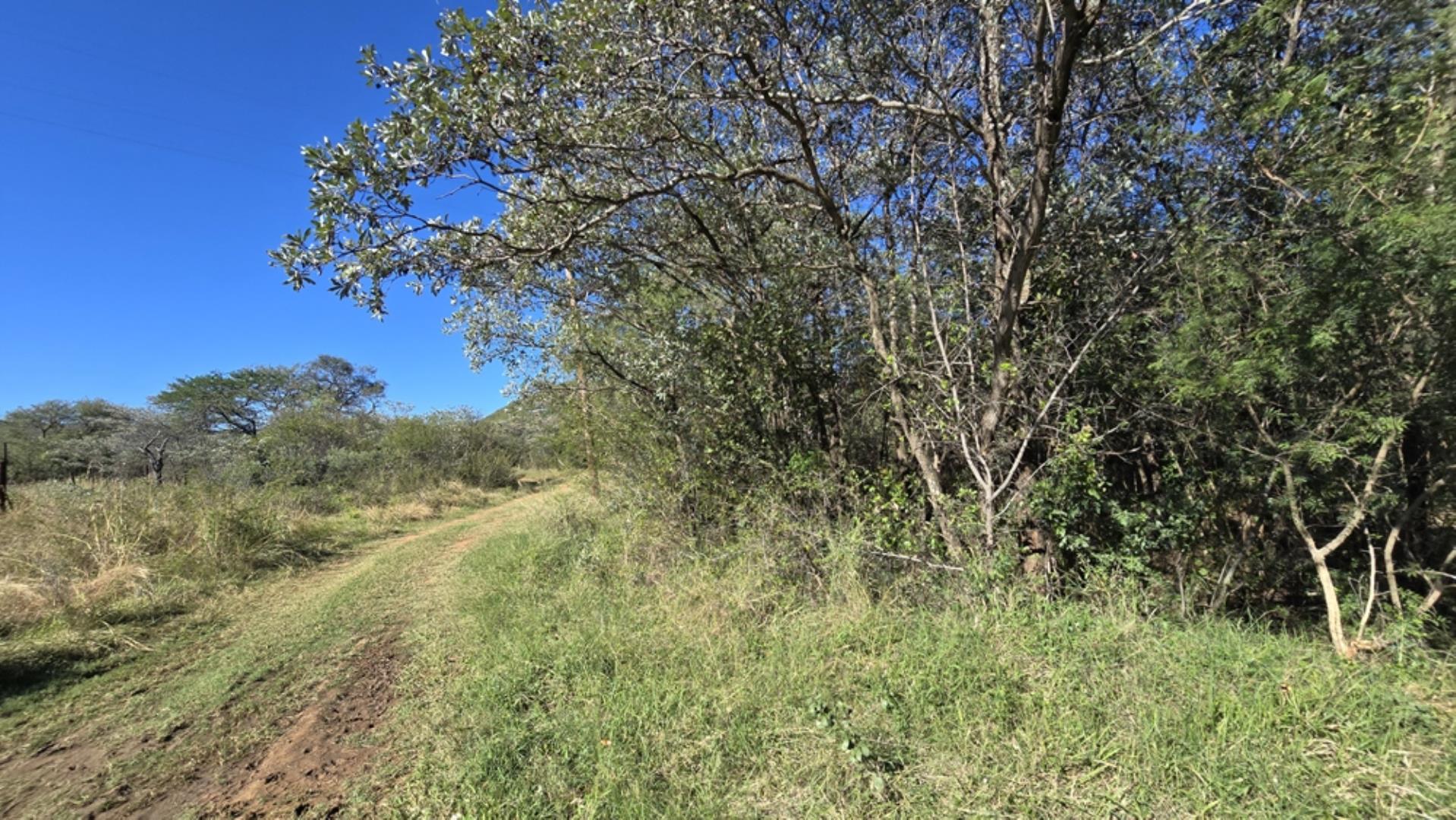 765544_1196ha_Game_and_Hunting_Farm_For_Sale_Groblersdal_(54).jpeg