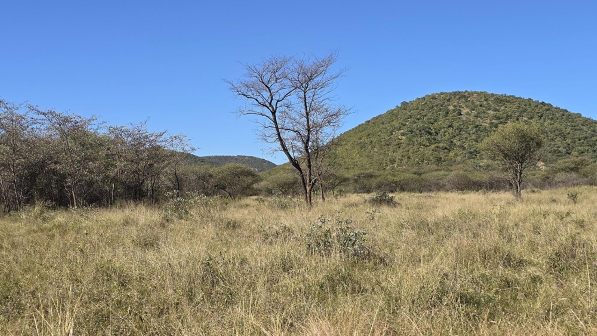 765544_1196ha_Game_and_Hunting_Farm_For_Sale_Groblersdal_(55).jpeg