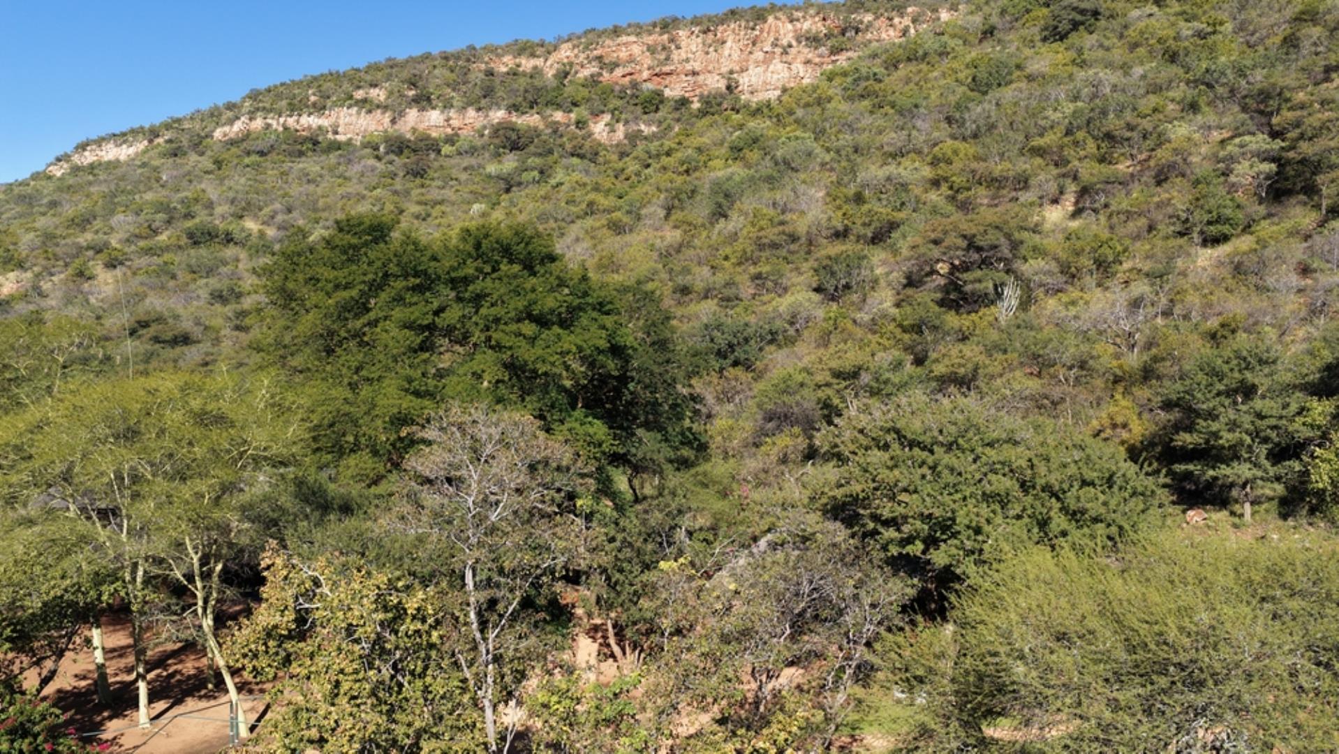 765544_1196ha_Game_and_Hunting_Farm_For_Sale_Groblersdal_(98).jpeg