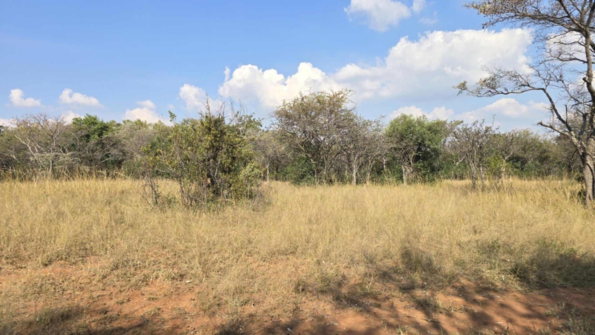 765715_354ha_Modimolle_Farm_FOR_SALE_(30).jpeg