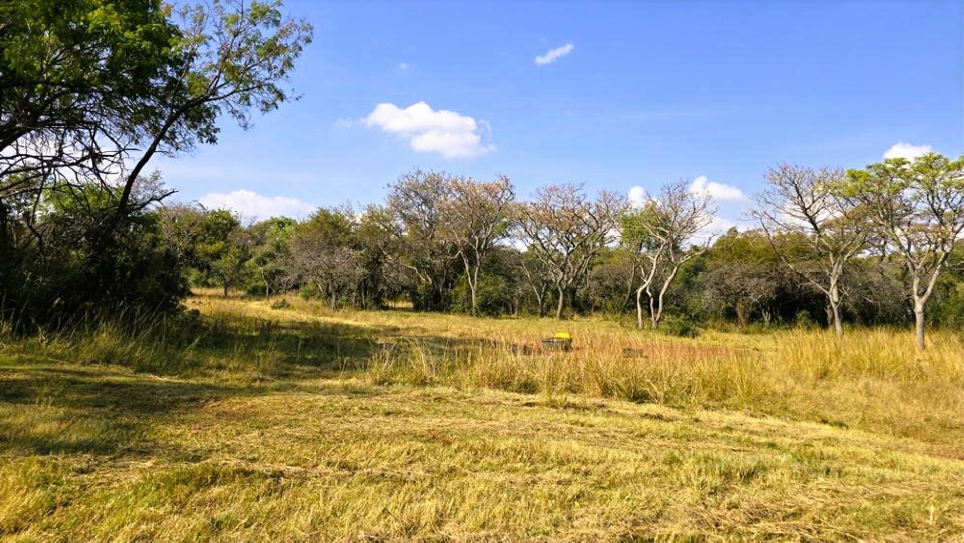 765715_354ha_Modimolle_Farm_FOR_SALE_(63).JPG