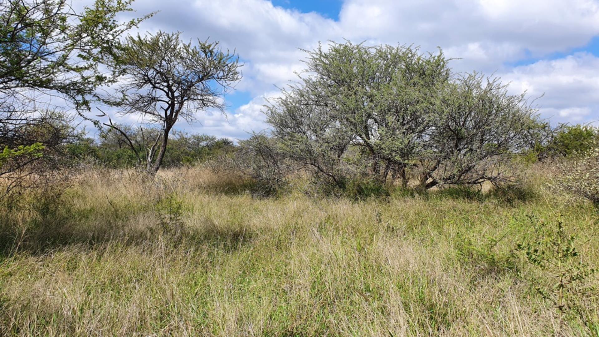 766079_1054ha_Luxurious_Game_Farm_For_Sale_Marken_Area__South_Africa_(1).jpg