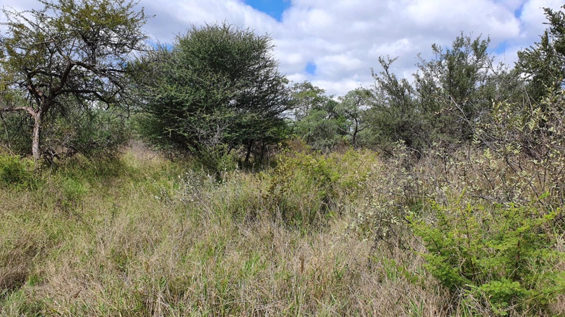 766079_1054ha_Luxurious_Game_Farm_For_Sale_Marken_Area__South_Africa_(5).jpg