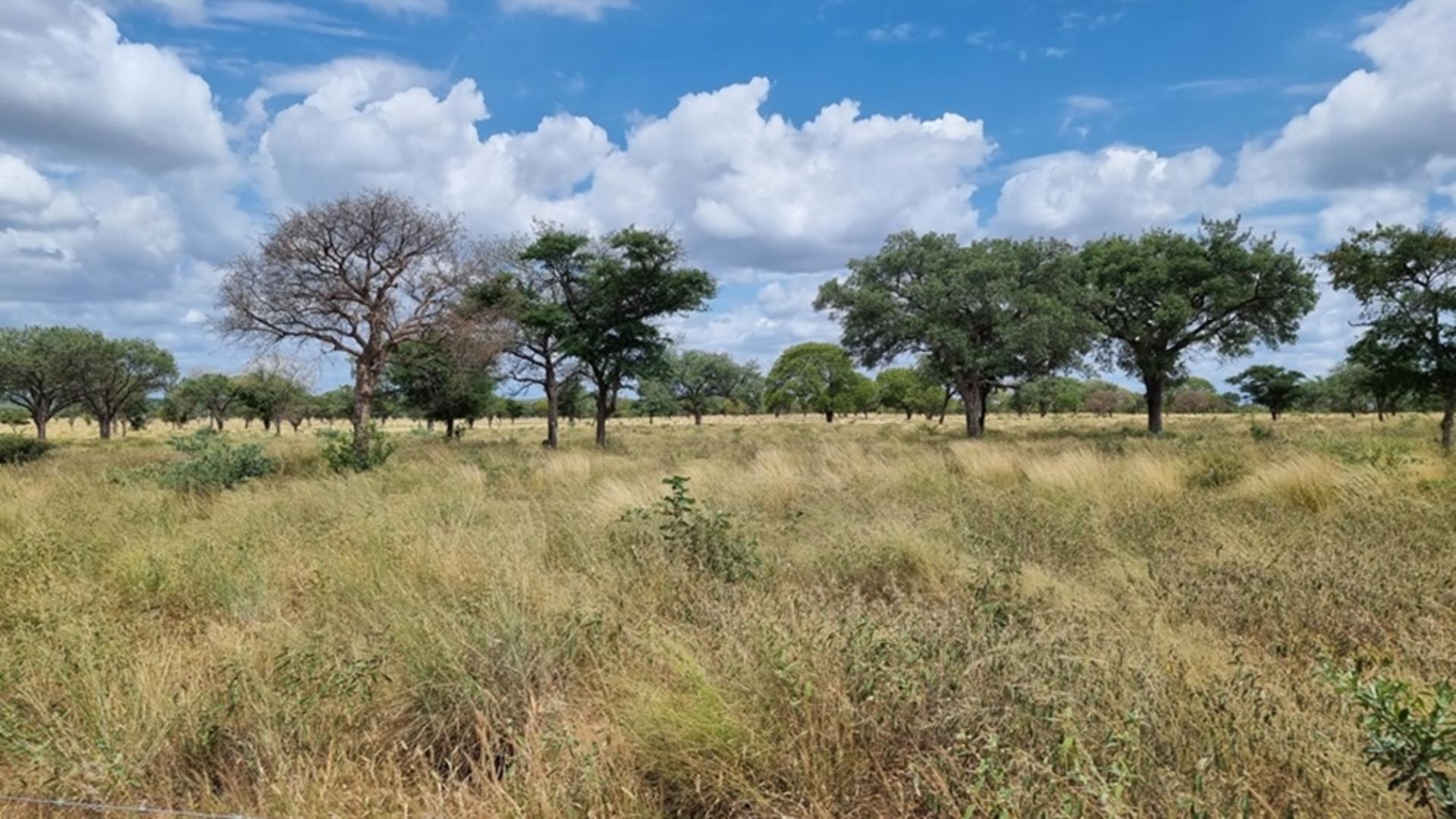 766079_1054ha_Luxurious_Game_Farm_For_Sale_Marken_Area__South_Africa_(7).jpg