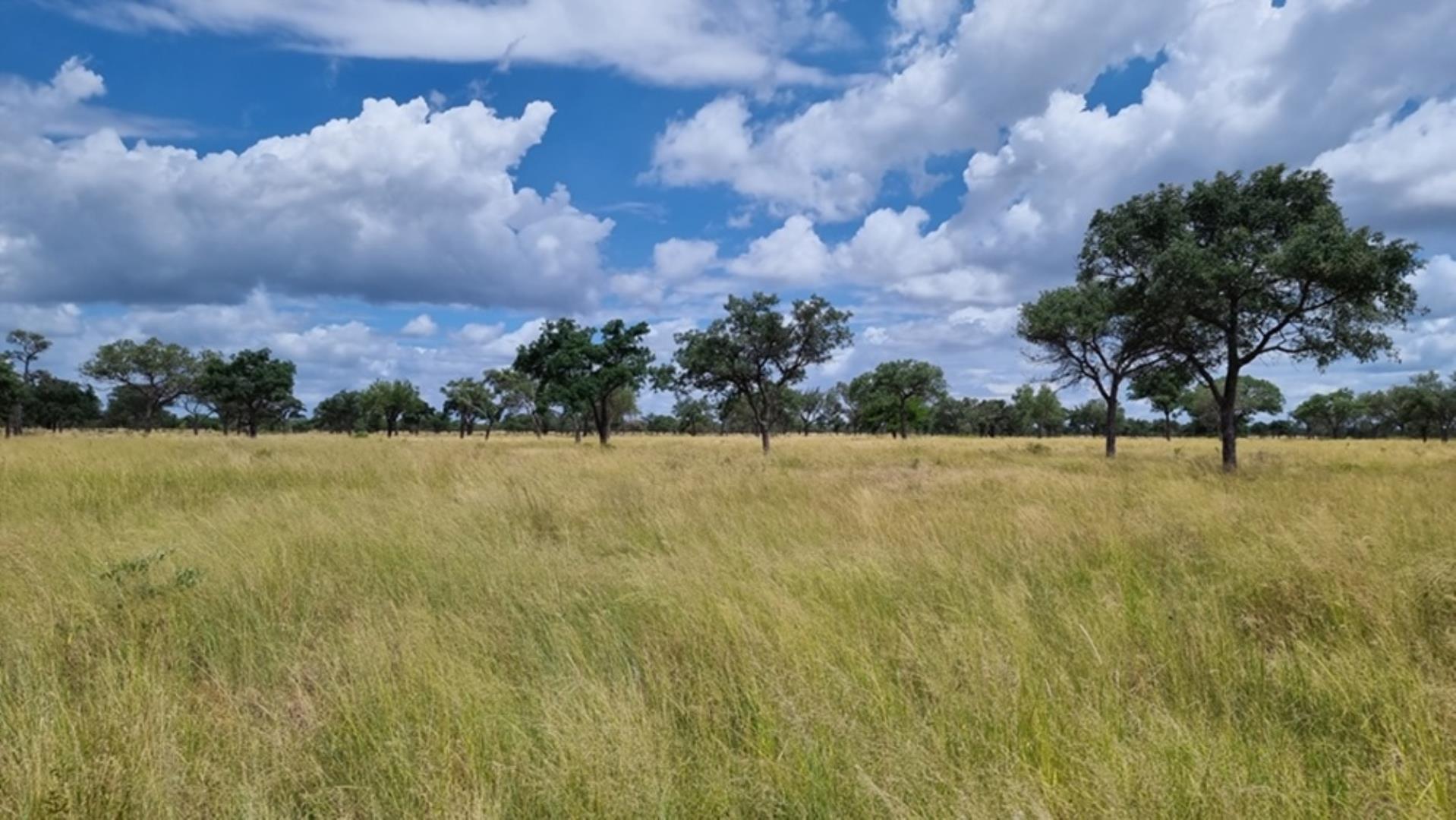 766079_1054ha_Luxurious_Game_Farm_For_Sale_Marken_Area__South_Africa_(8).jpg
