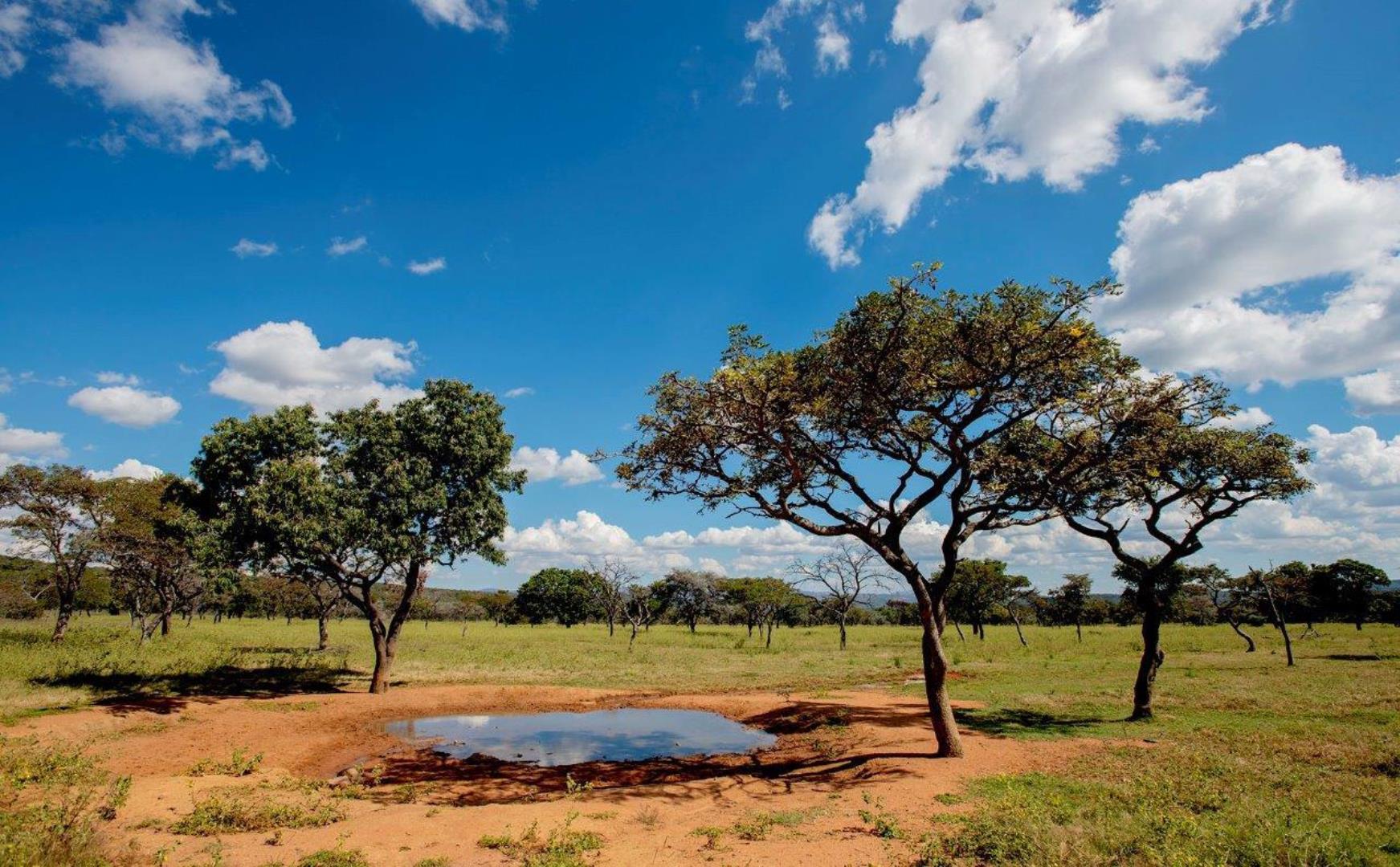 766149_WATERBERG_EDEN_PHOTOS_12.jpeg