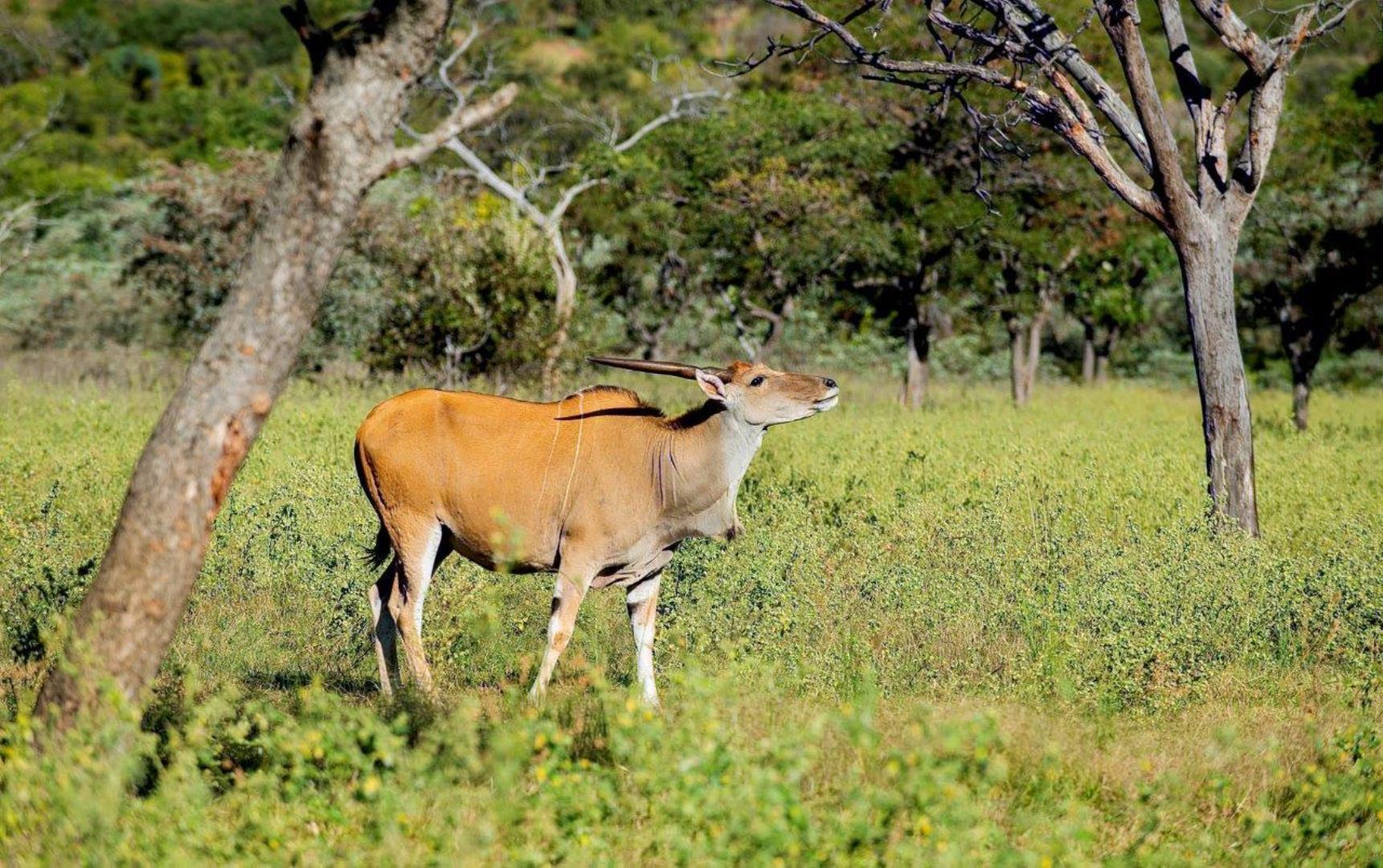 766149_WATERBERG_EDEN_PHOTOS_20.jpeg