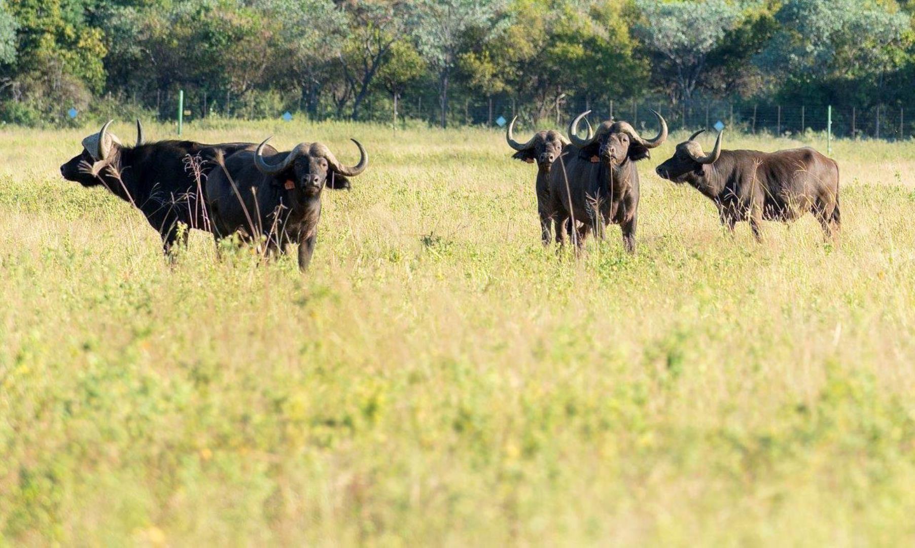 766149_WATERBERG_EDEN_PHOTOS_21.jpeg