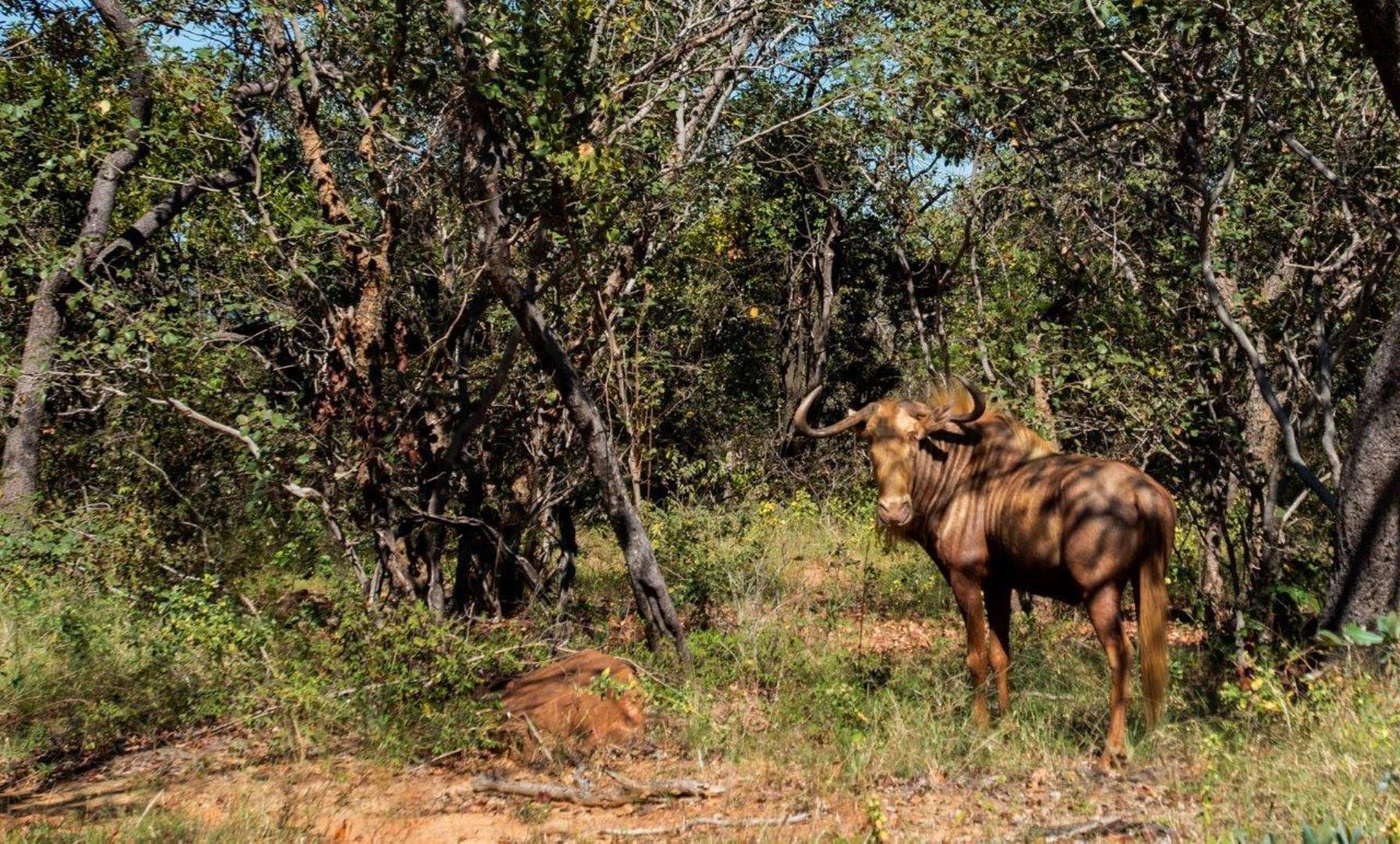 766149_WATERBERG_EDEN_PHOTOS_24.jpeg