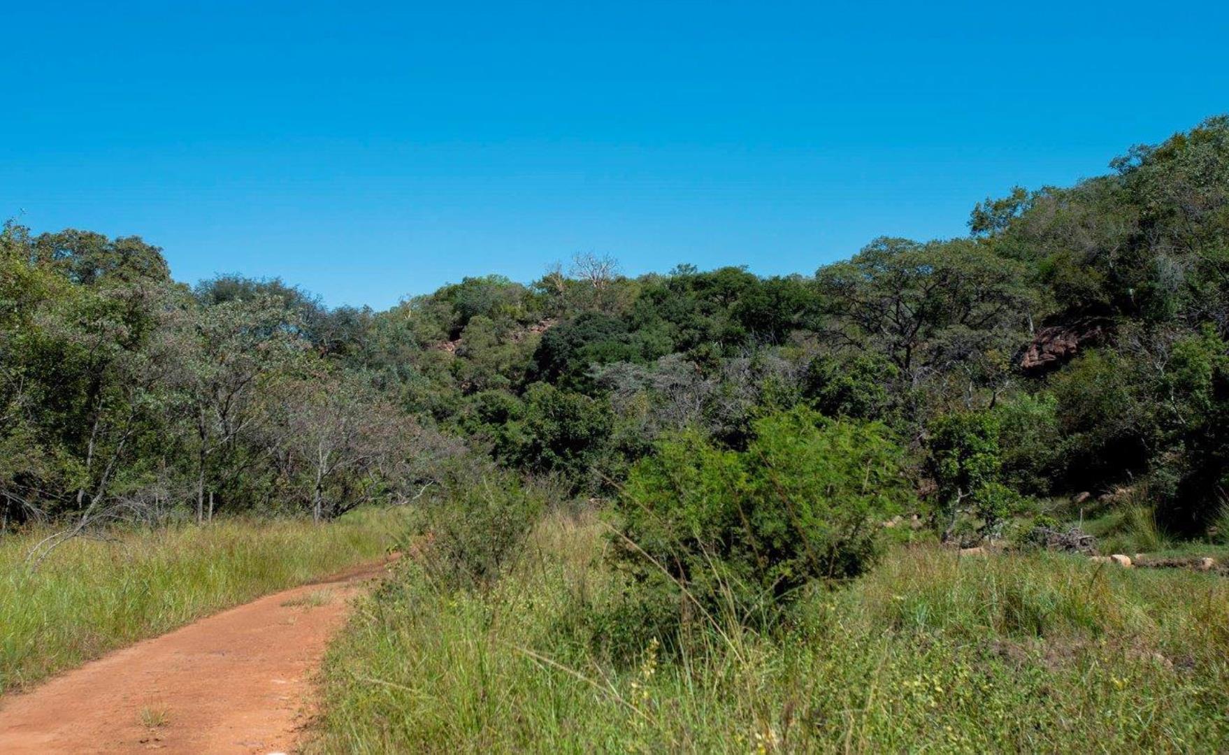 766149_WATERBERG_EDEN_PHOTOS_25.jpeg