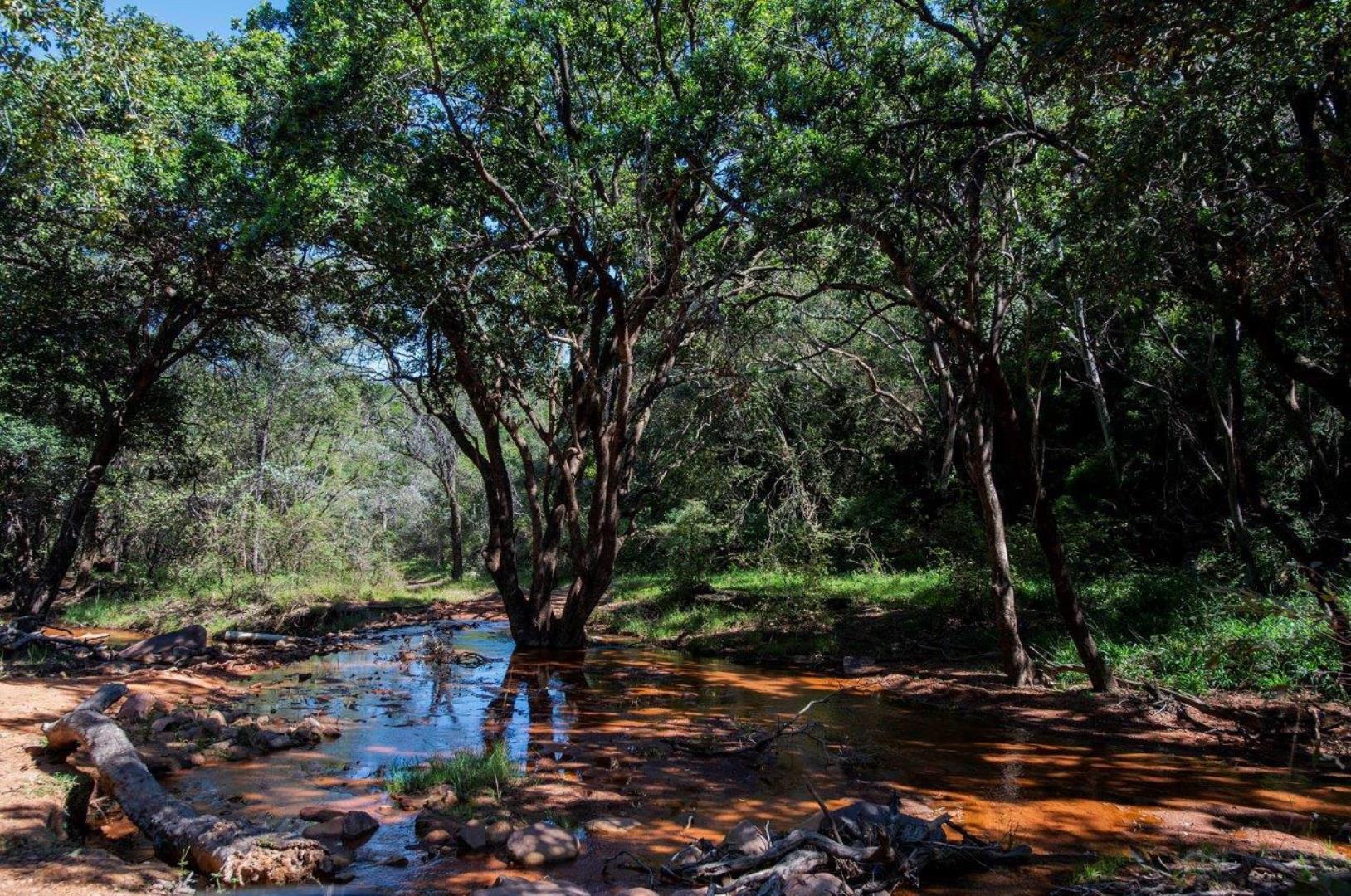 766149_WATERBERG_EDEN_PHOTOS_26.jpeg