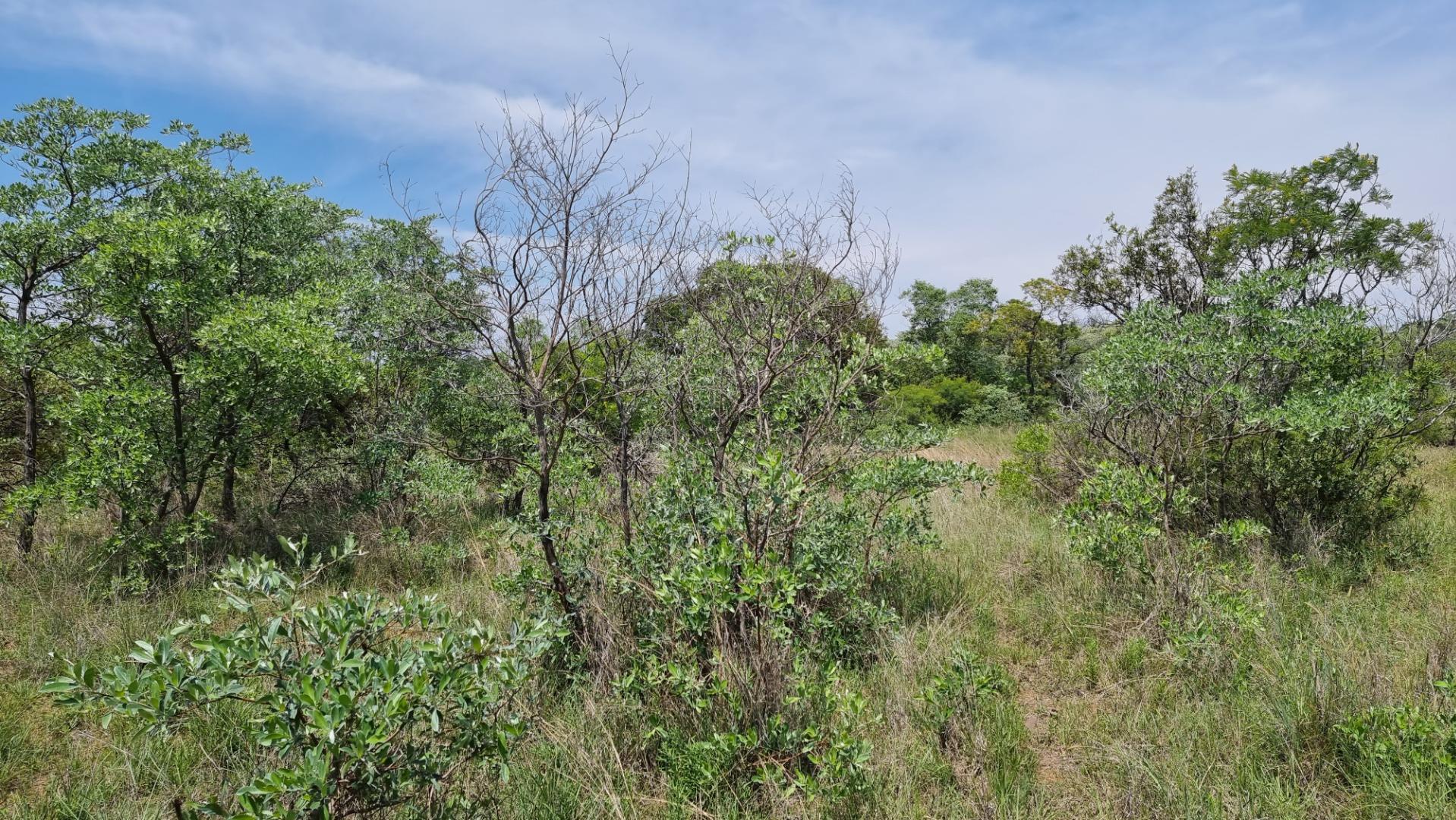 766150_35.jpg