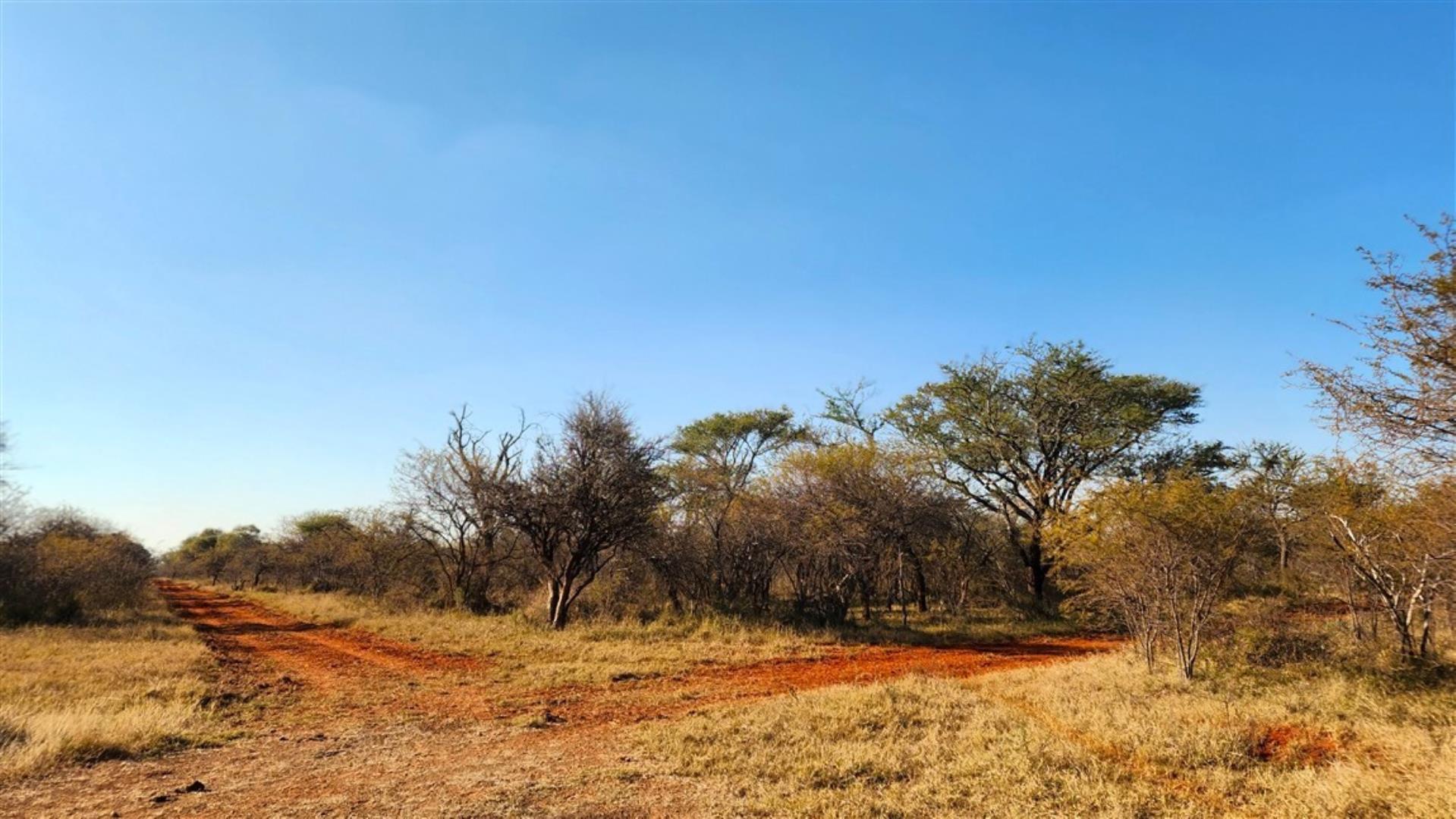766253_Bushveld_1.jpg