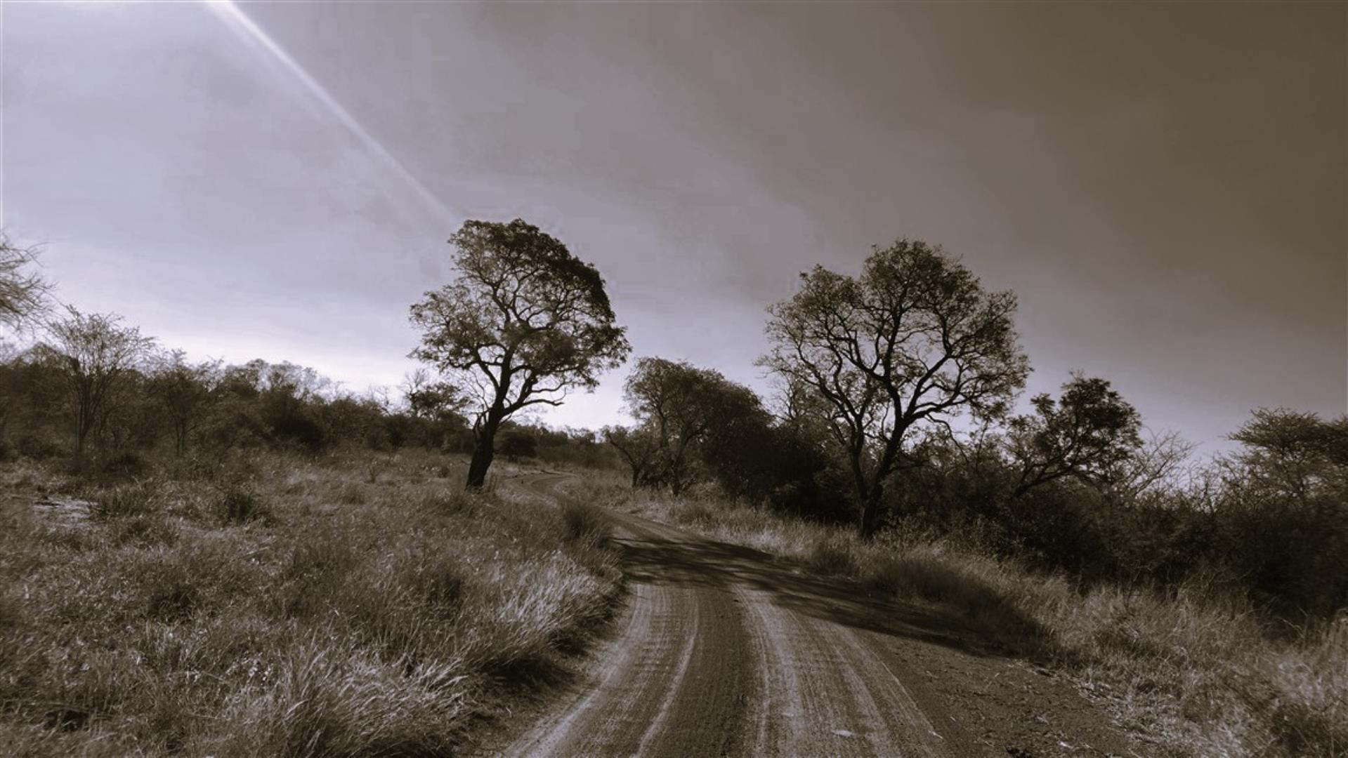 766253_Bushveld_2.jpg