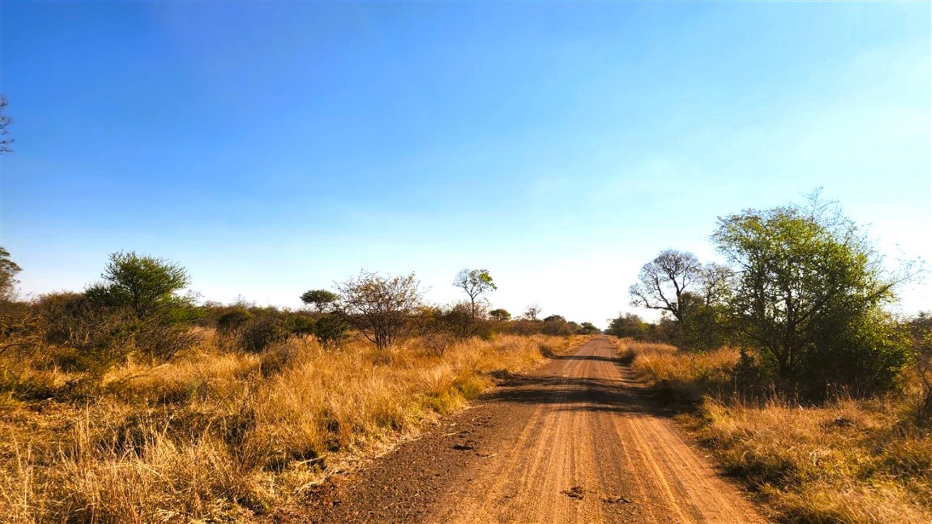766253_Bushveld_3.jpg