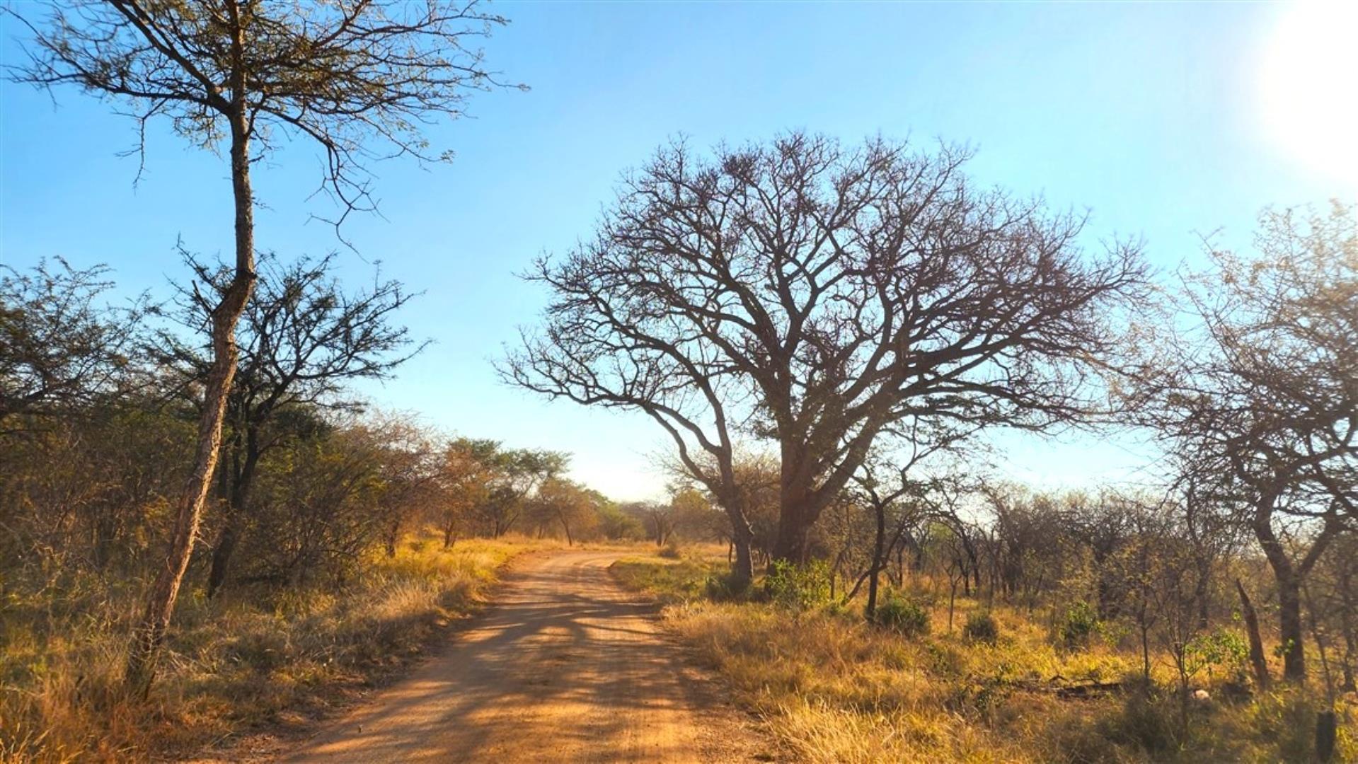 766253_Bushveld_4.jpg