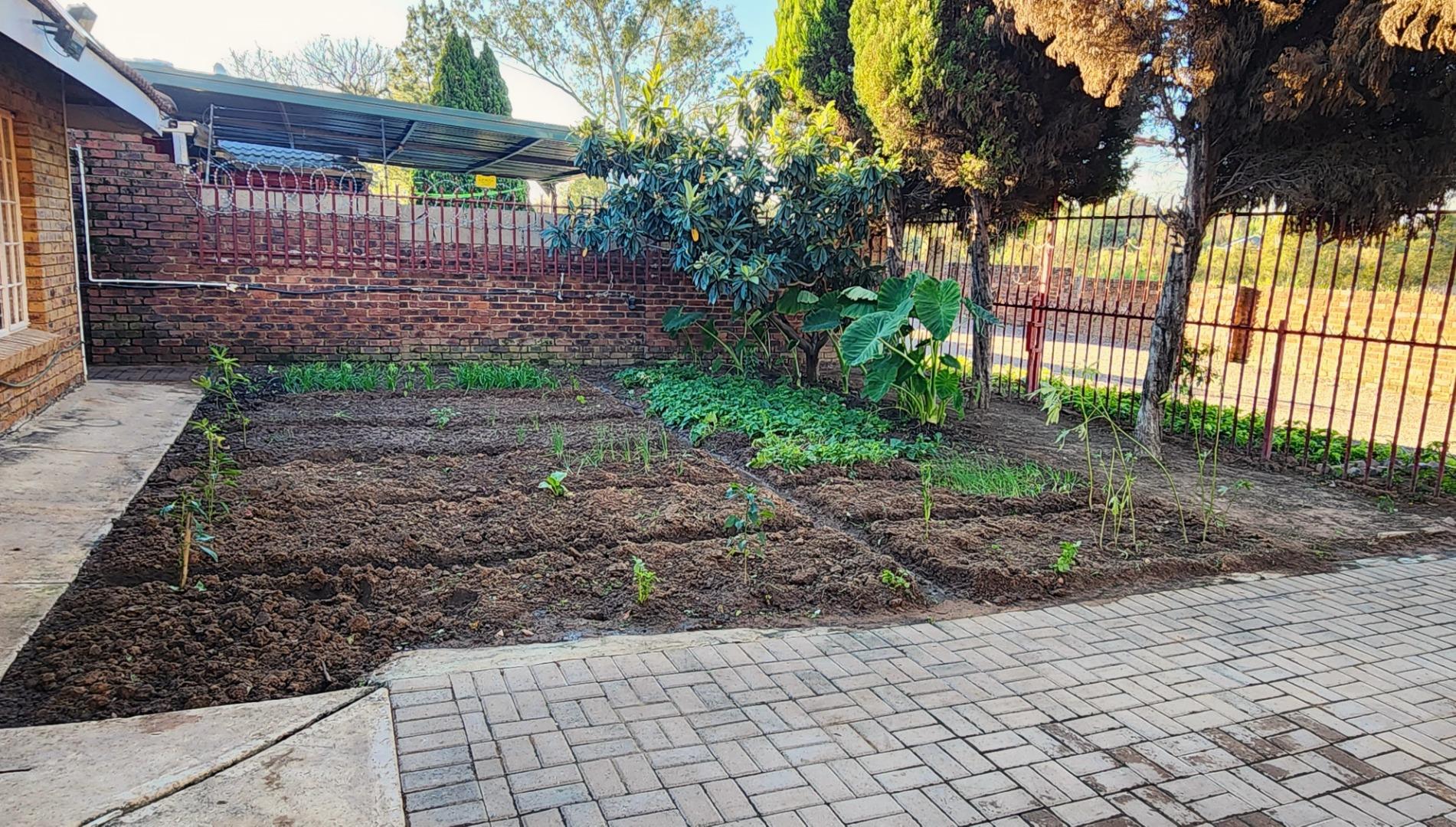 766286_Veg_and_Herb_Garden_1.jpg