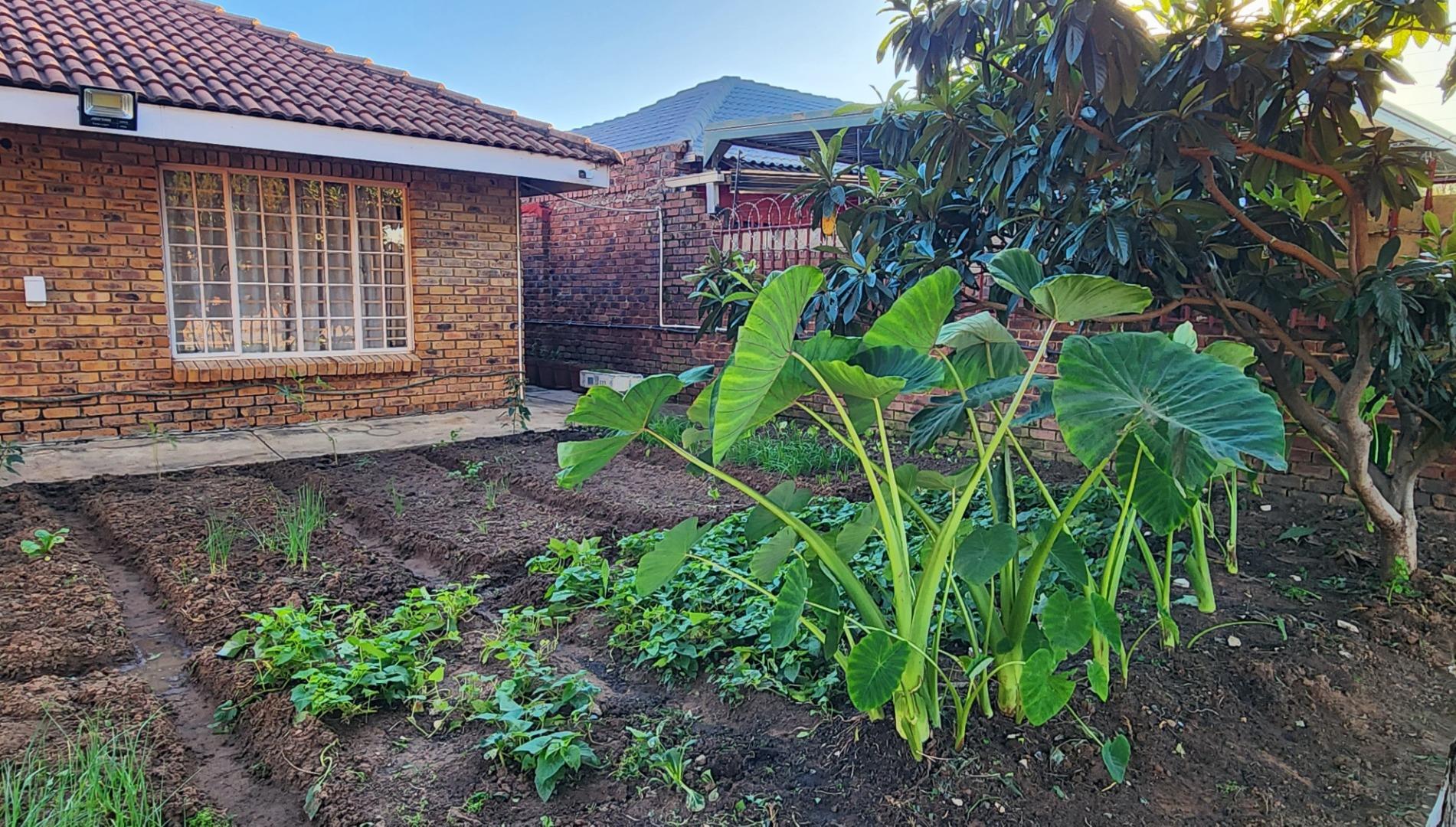 766286_Veg_and_Herb_Garden_2.jpg
