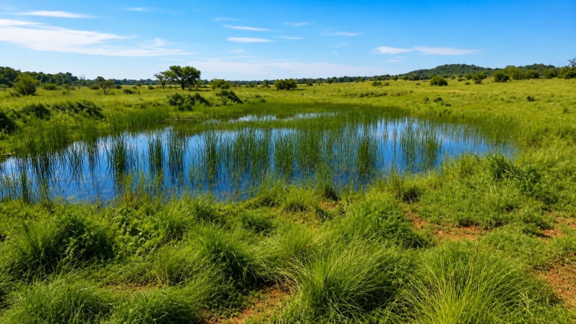 768828_197ha_Farm_FOR_SALE_Modimolle__(2).jpeg