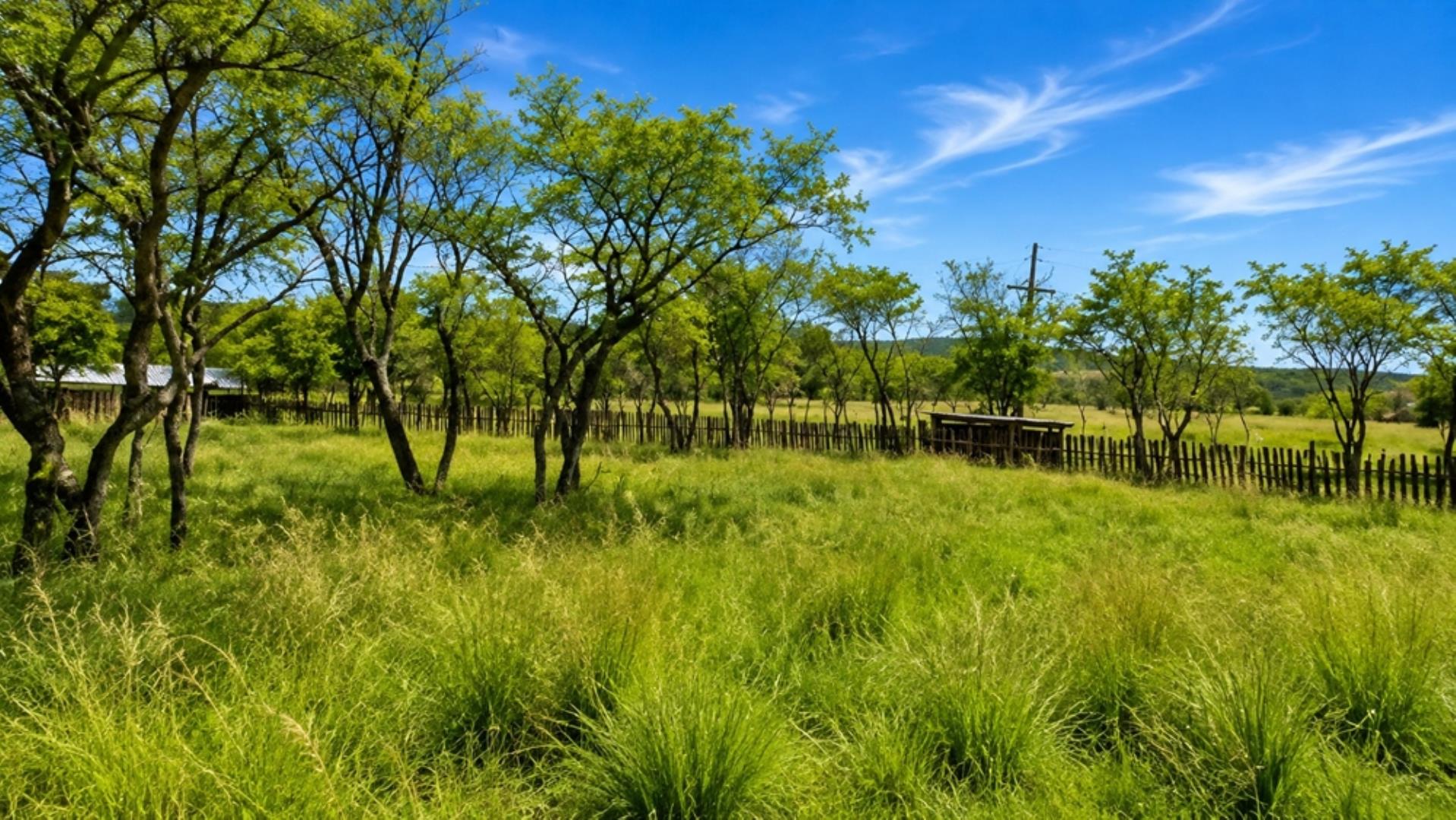 768828_197ha_Farm_FOR_SALE_Modimolle__(24).jpeg