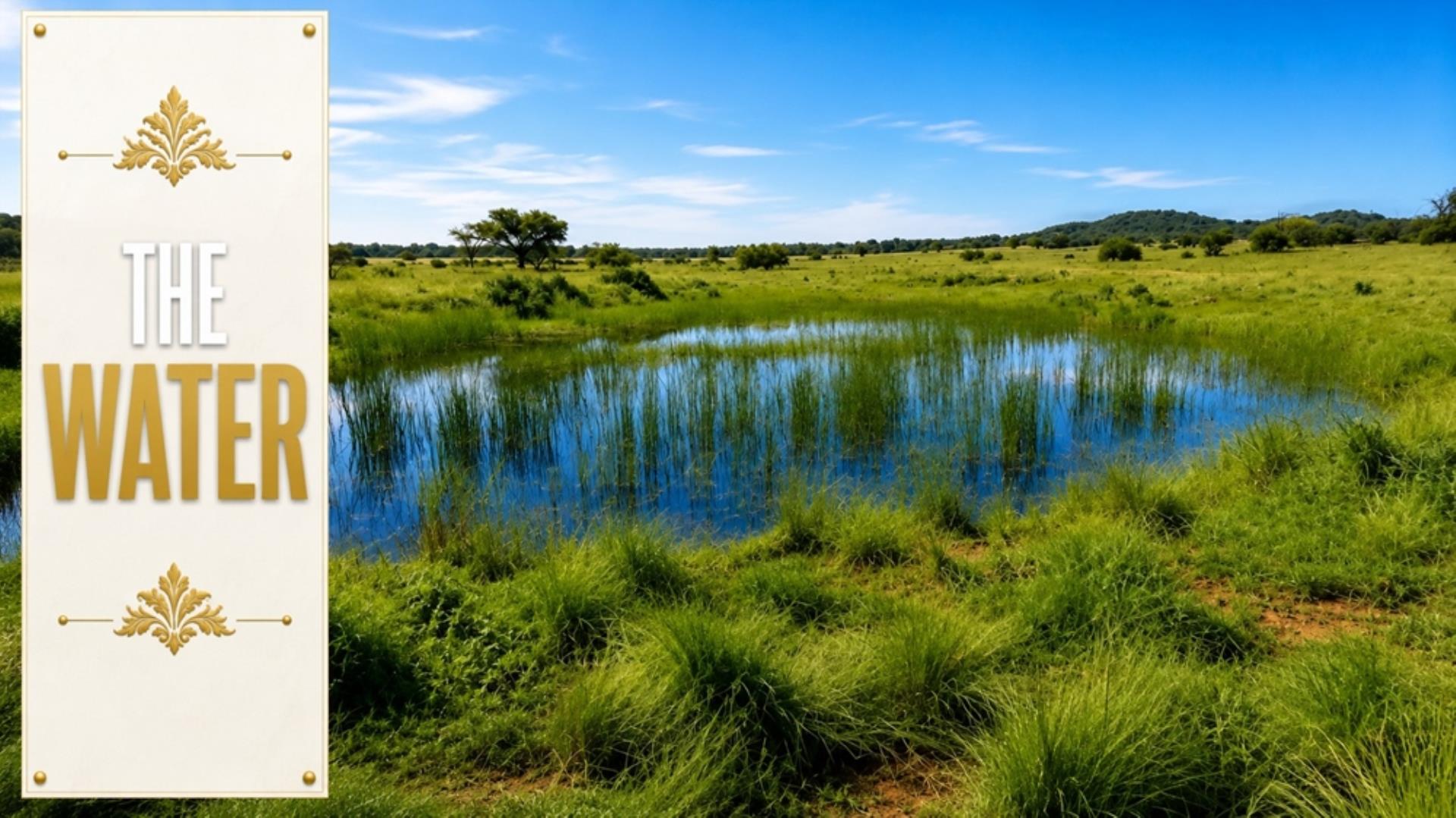 768828_197ha_Farm_FOR_SALE_Modimolle__(53).jpeg