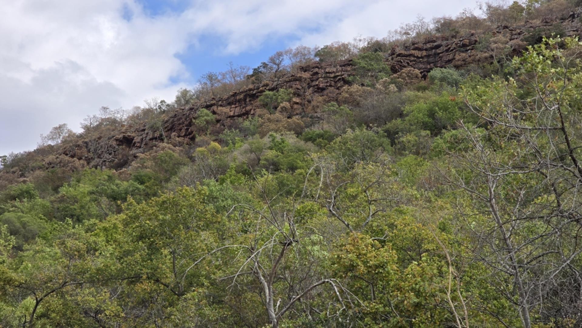 768829_509ha_Game_and_Lifestyle_Farm_FOR_SALE_Naboomspruit_(39).jpeg