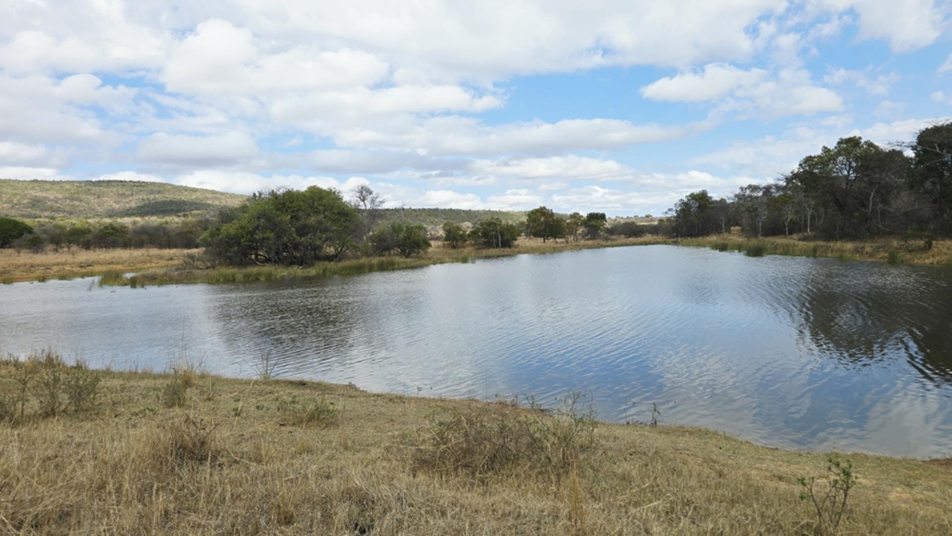 768829_509ha_Game_and_Lifestyle_Farm_FOR_SALE_Naboomspruit_(43).jpeg