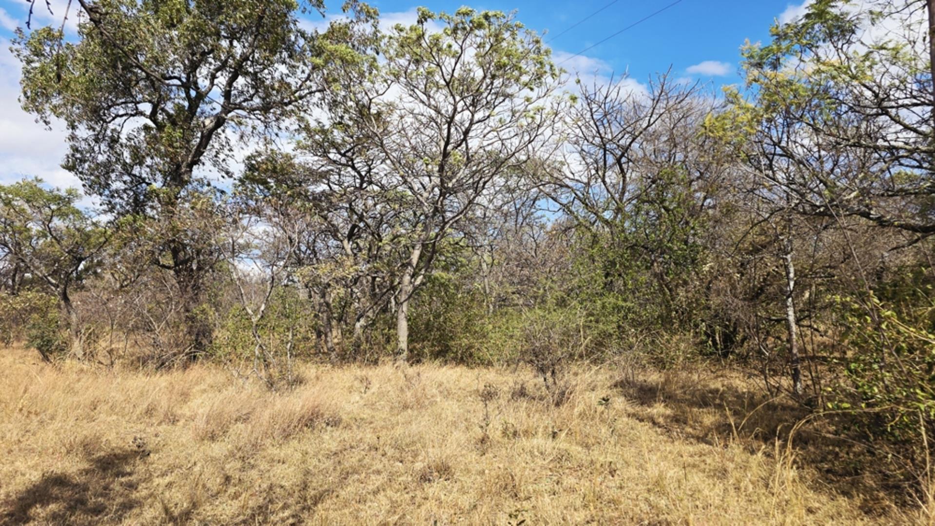 768829_509ha_Game_and_Lifestyle_Farm_FOR_SALE_Naboomspruit_(55).jpeg