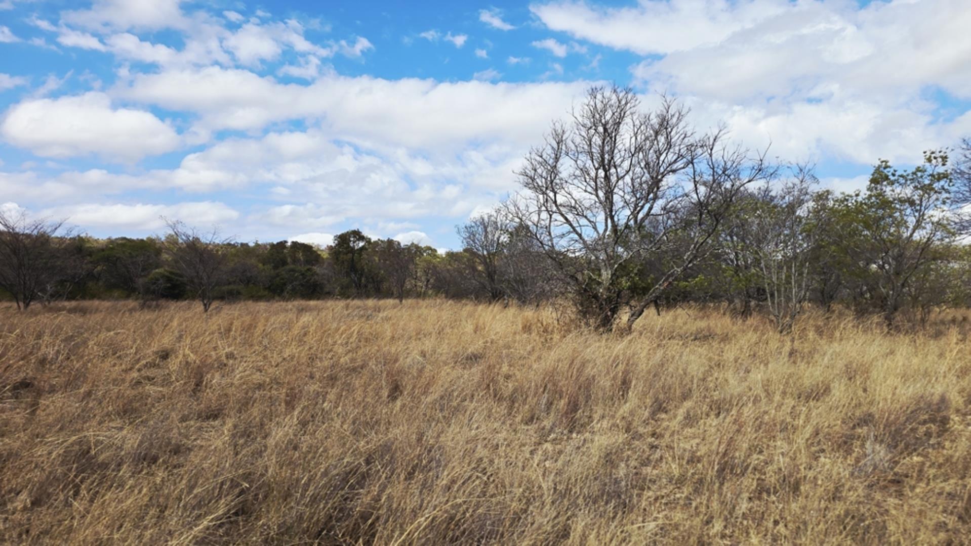 768829_509ha_Game_and_Lifestyle_Farm_FOR_SALE_Naboomspruit_(60).jpeg