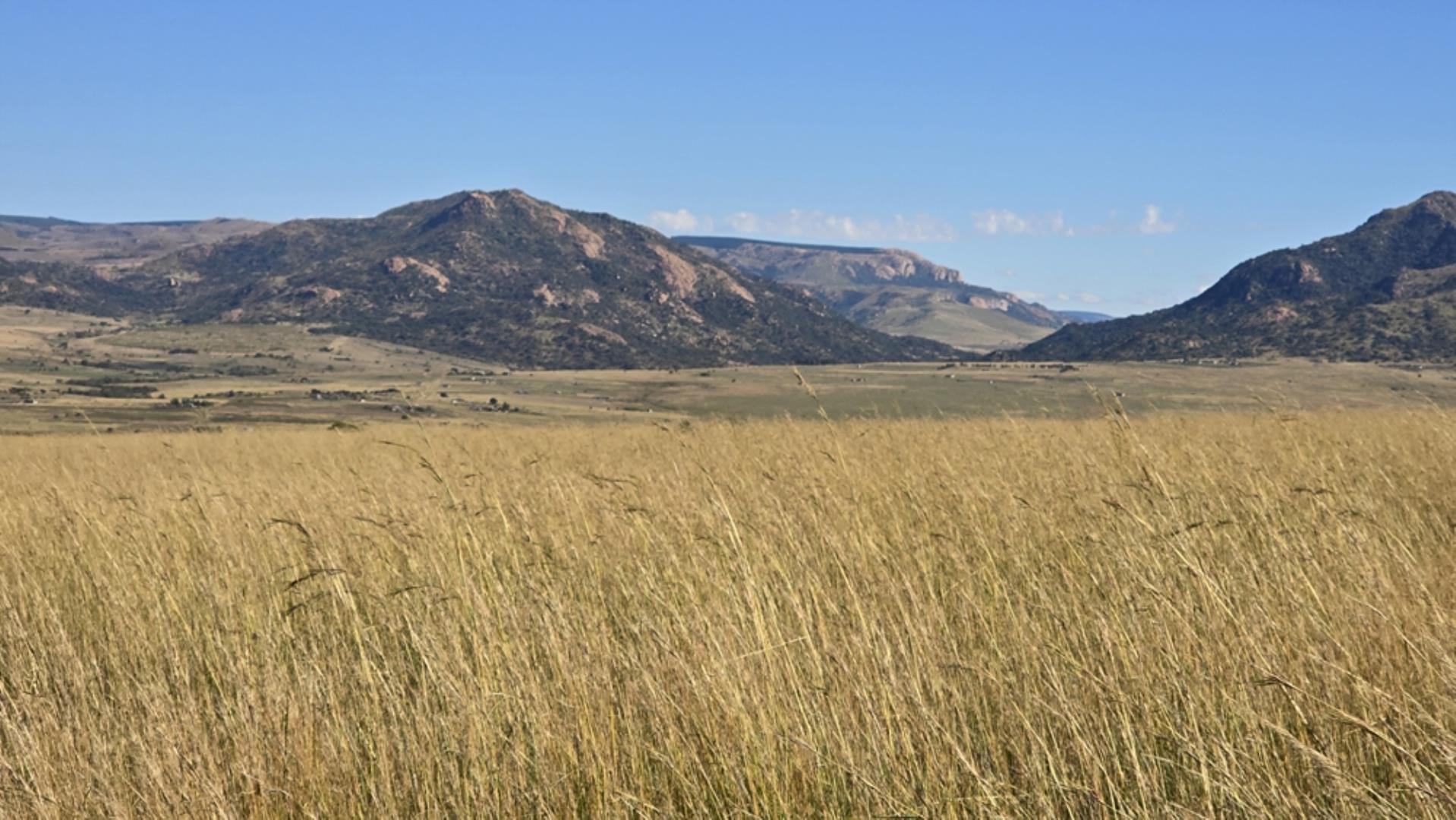 769071_15100ha_Badplaas_FARM_FOR_SALE_Photos_(123).jpeg