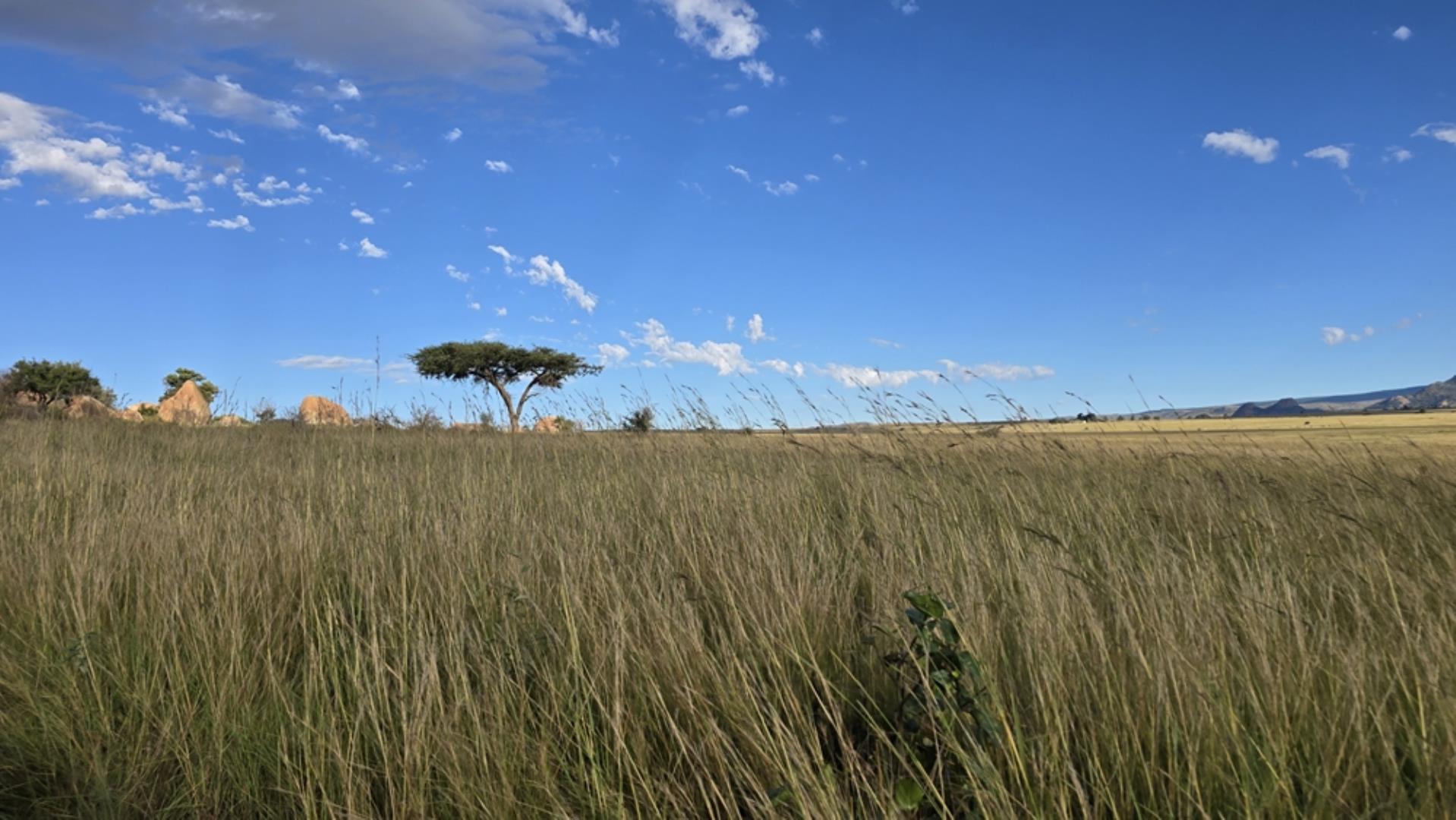 769071_15100ha_Badplaas_FARM_FOR_SALE_Photos_(172).jpeg