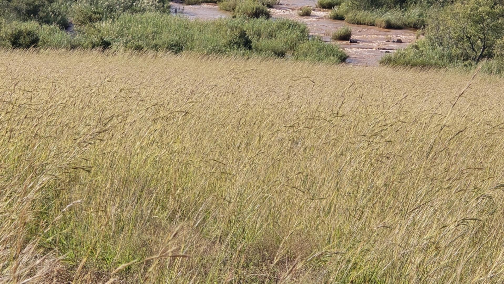769071_15100ha_Badplaas_FARM_FOR_SALE_Photos_(173).jpeg