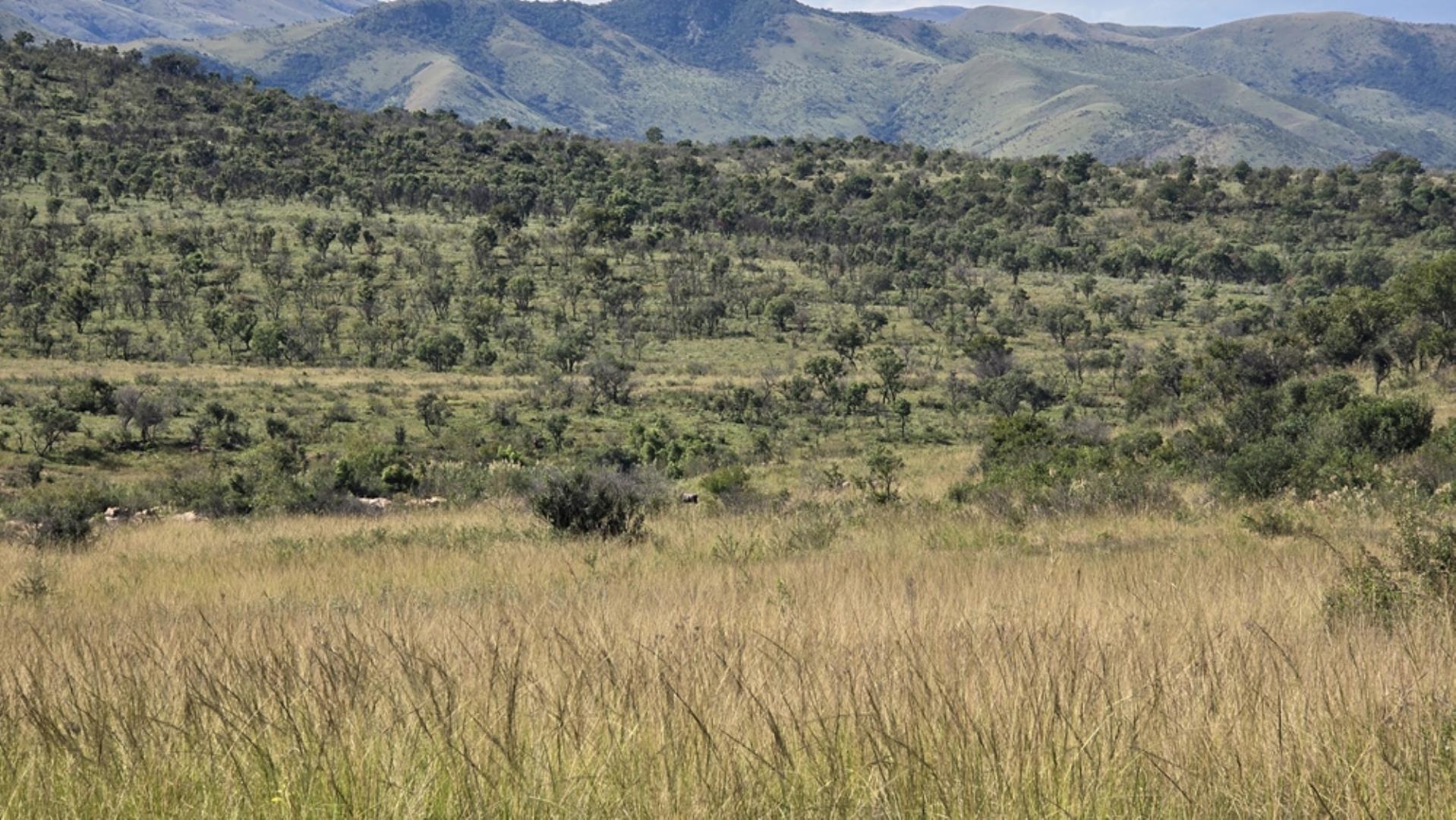 769071_15100ha_Badplaas_FARM_FOR_SALE_Photos_(63).jpeg