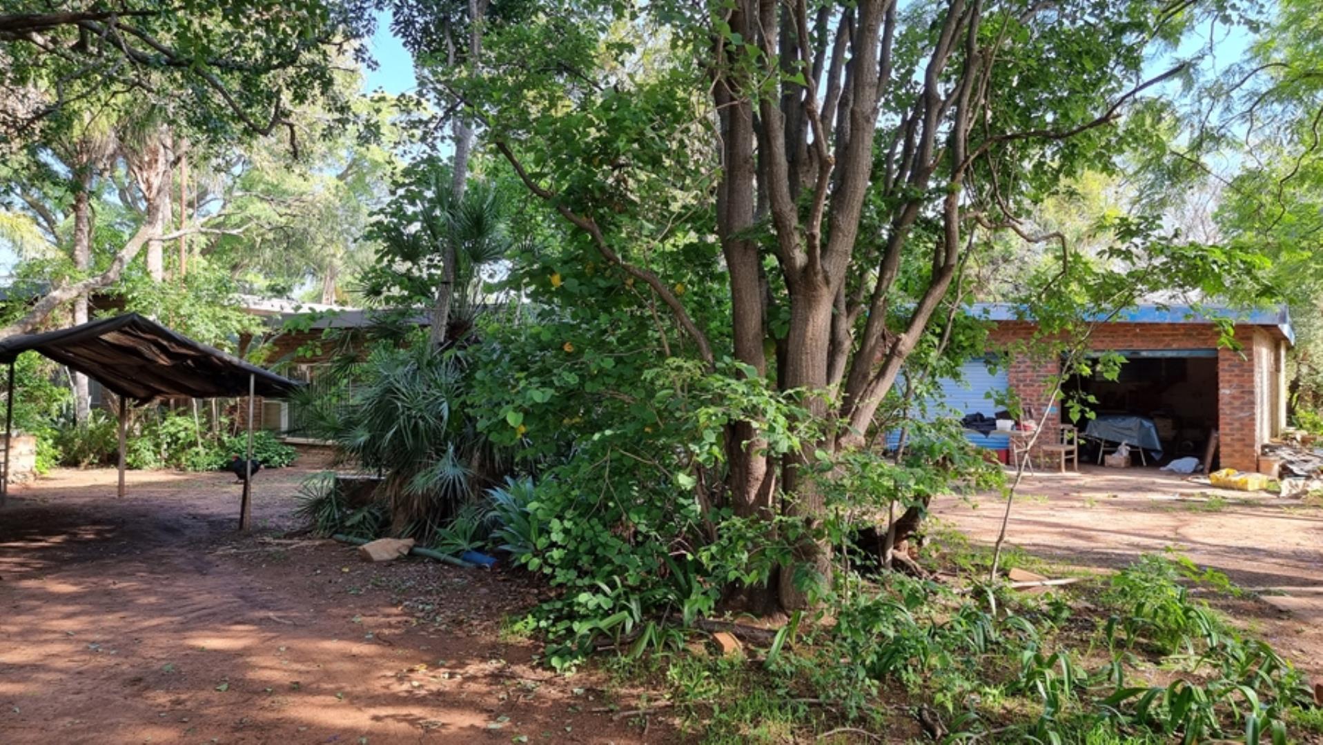 769096_23.jpg