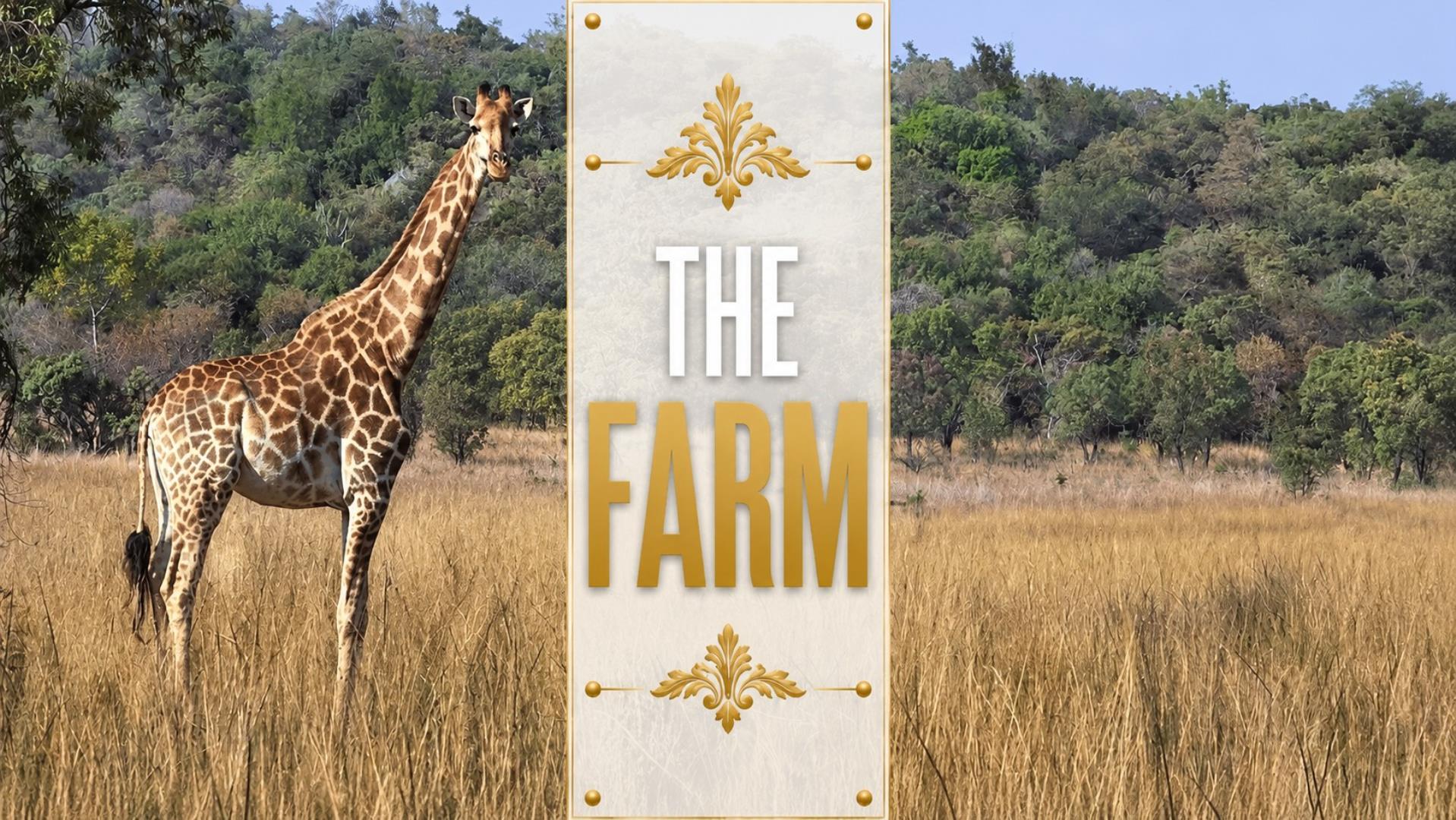 769228_233ha_Modimolle_Farm_FOR_SALE_(3a).jpeg