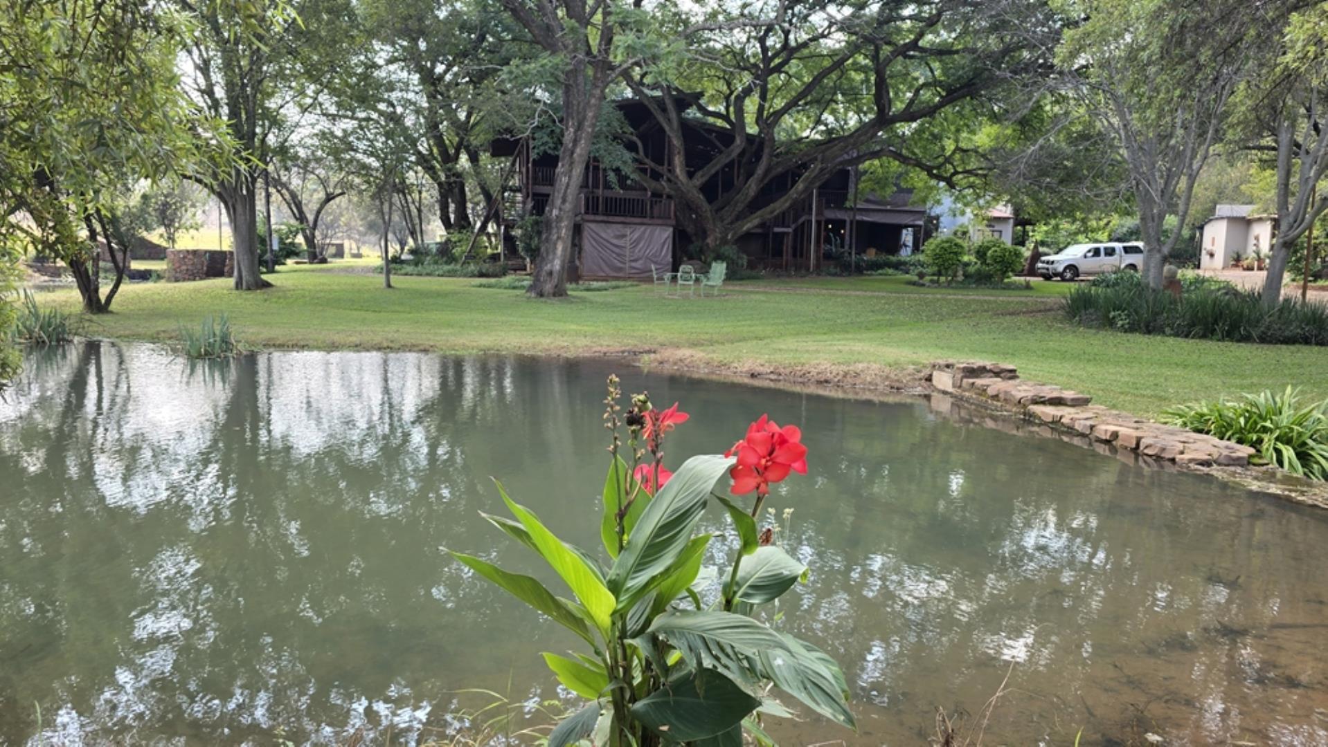 769228_233ha_Modimolle_Farm_FOR_SALE_(40).jpeg