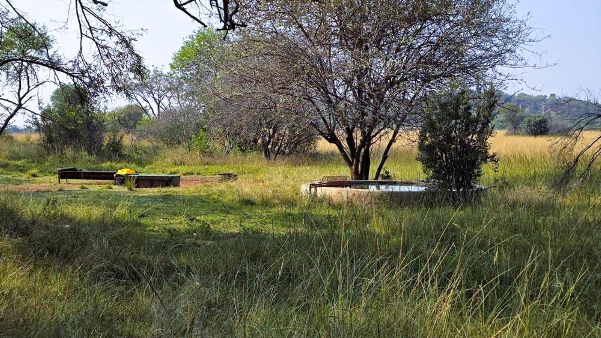 769228_39.JPG