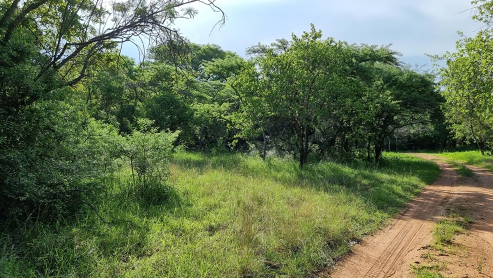 769233_77ha_Game_Farm_For__Sale_Naboomspruit_(53).jpeg