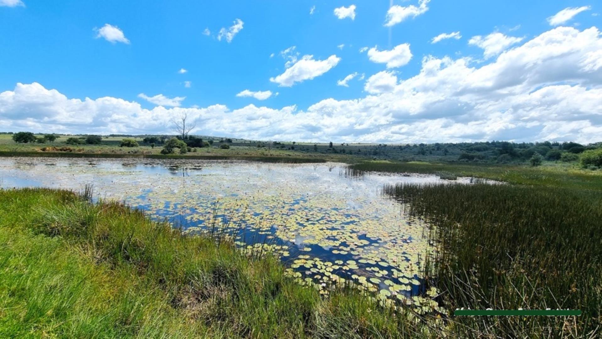 769253_Naboomspruit_Cattle_Farm_For_Sale__(1).jpg