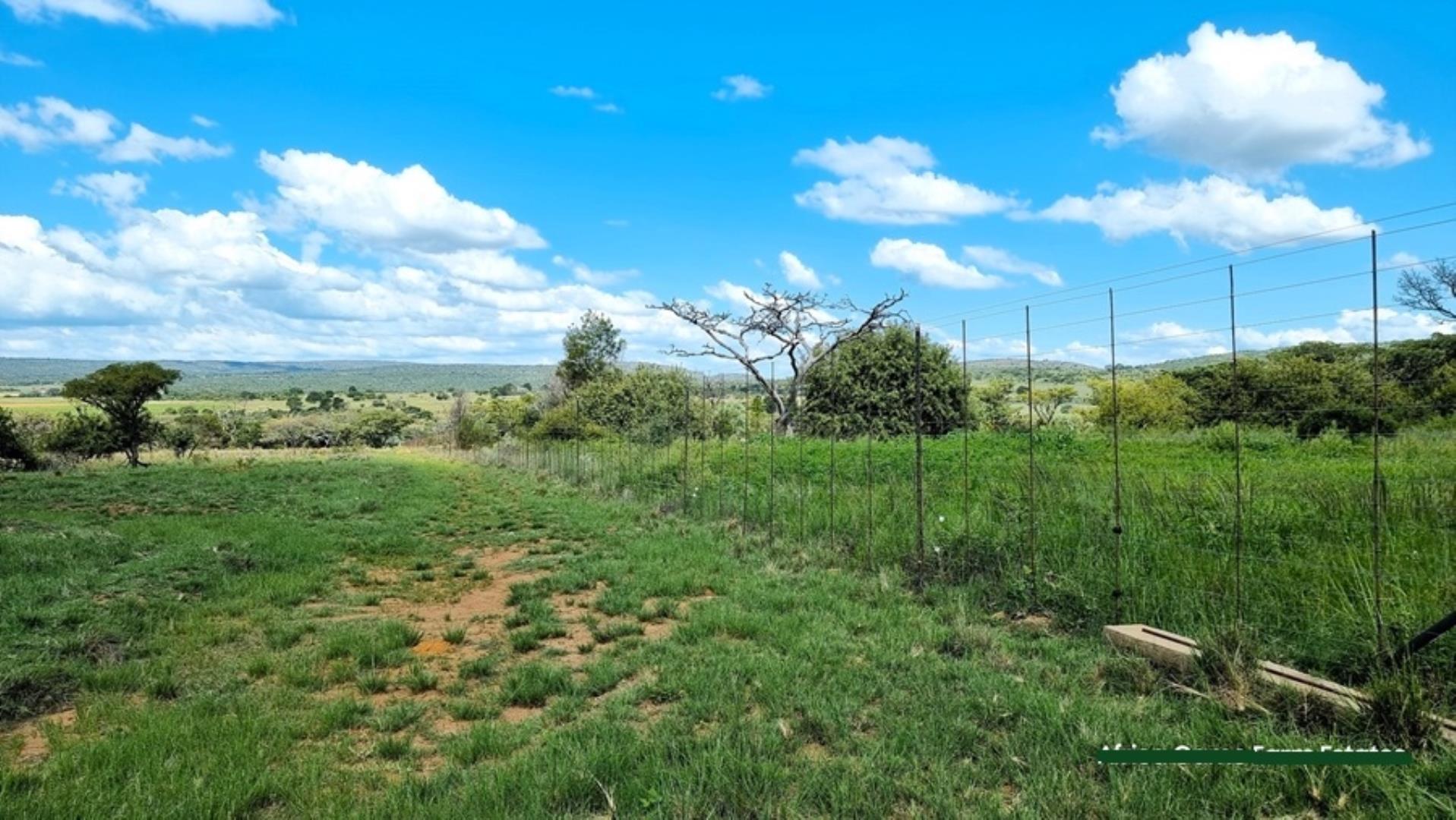 769253_Naboomspruit_Cattle_Farm_For_Sale__(20).jpg