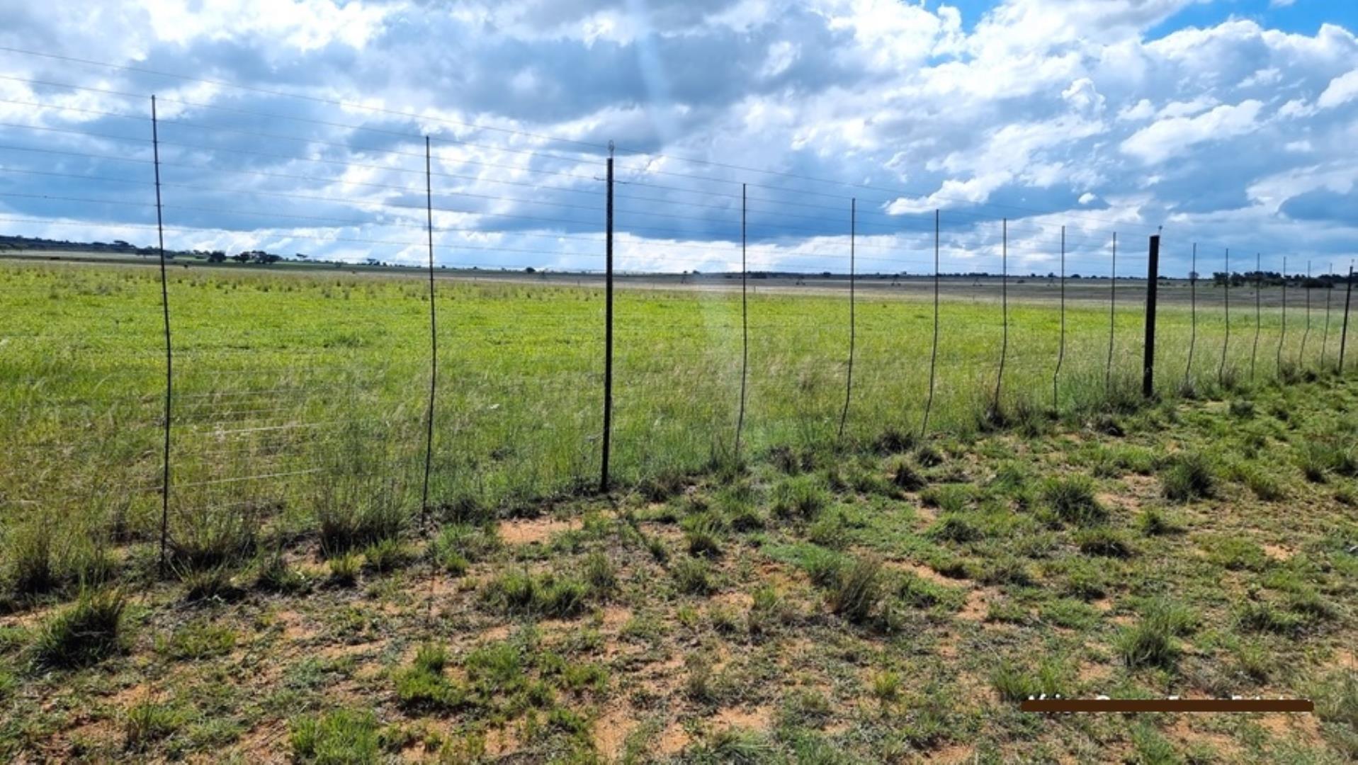 769253_Naboomspruit_Cattle_Farm_For_Sale__(22).jpg