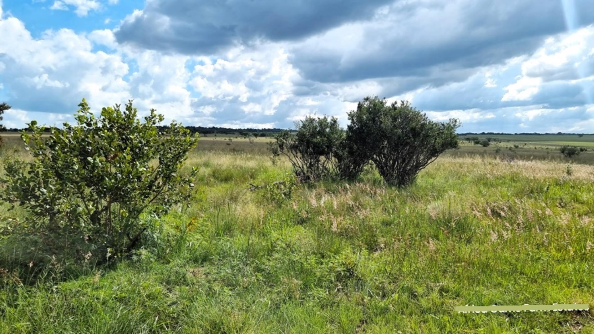 769253_Naboomspruit_Cattle_Farm_For_Sale__(31).jpg